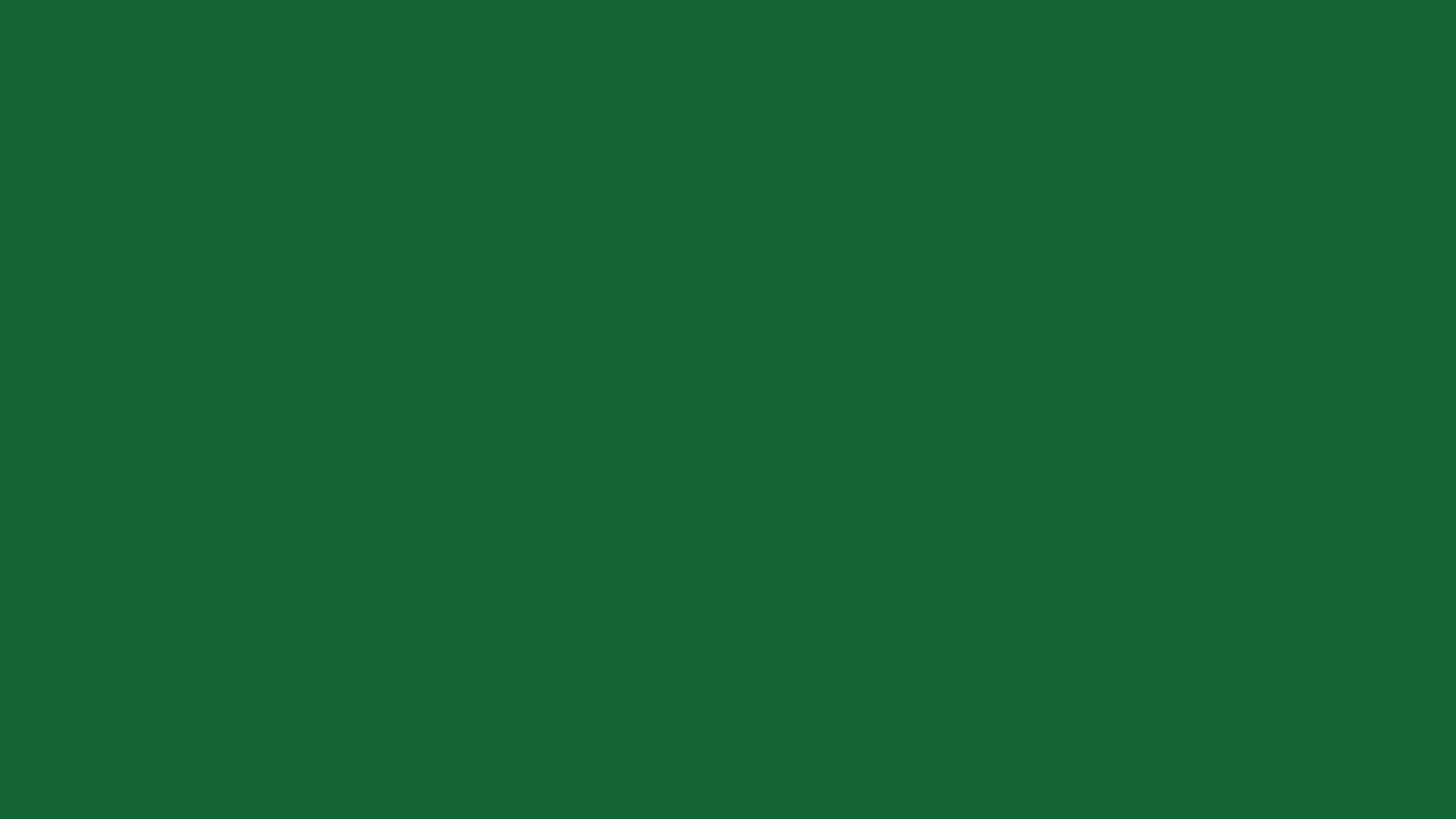 Solid Green, deep green, 1920 x 1080, Full HD Desktop Wallpaper