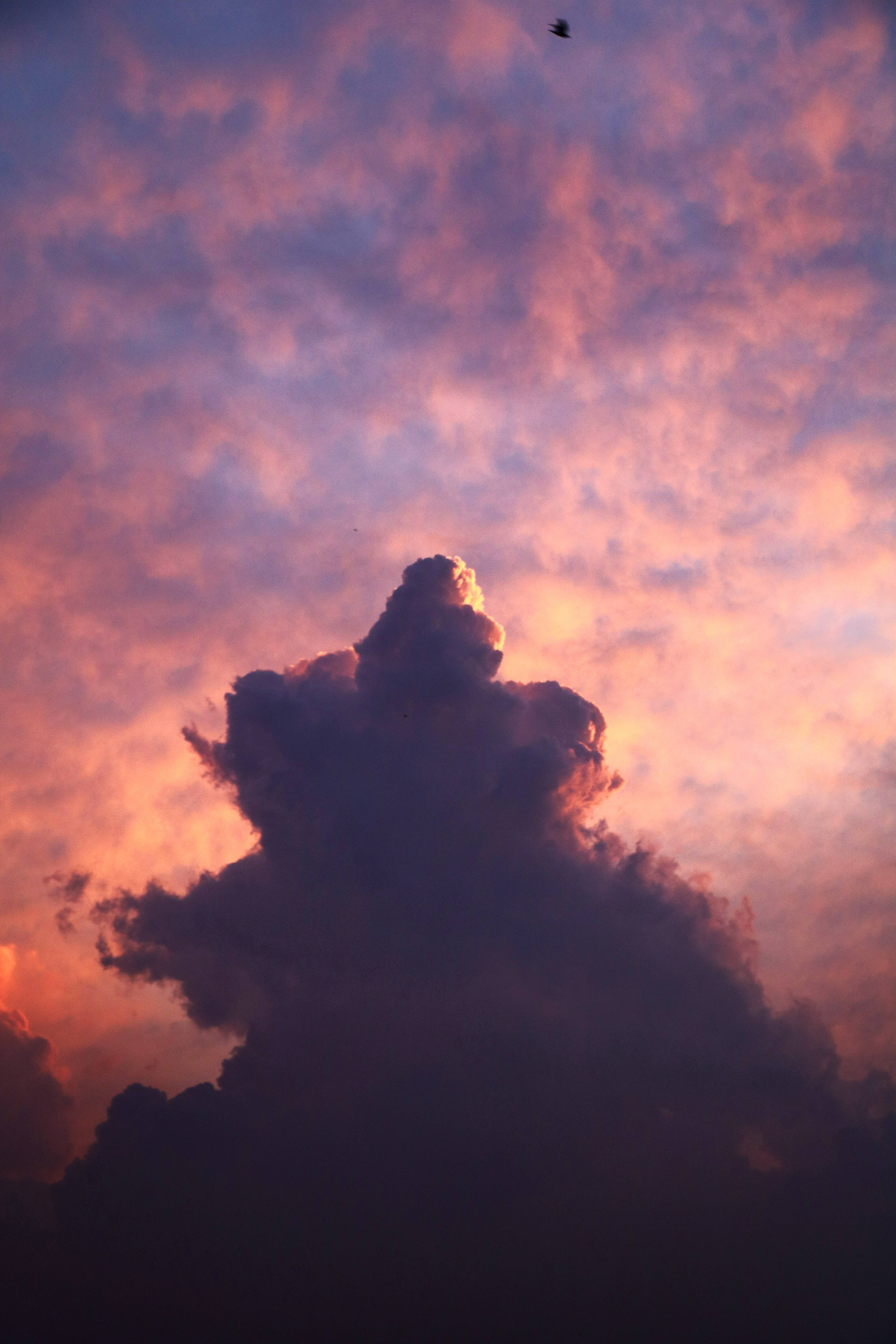 Thick Cloud iPhone, fiery sunset sky, lone bird, 4K Phone Wallpaper