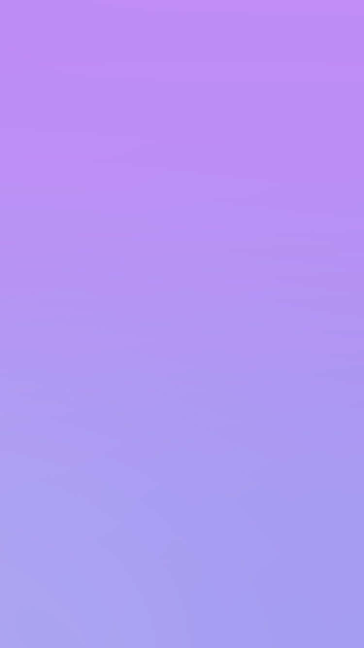 lavender, light blue, white cat, HD Phone Wallpaper