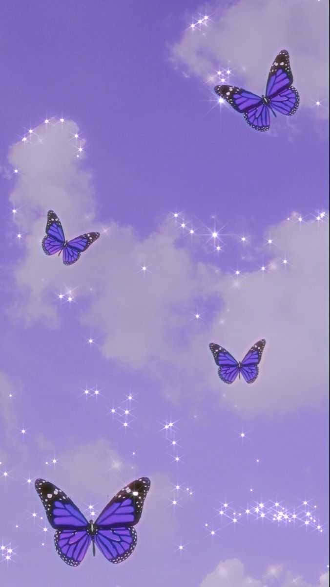 solid light purple, purple butterflies, lavender sky, SD Phone Wallpaper