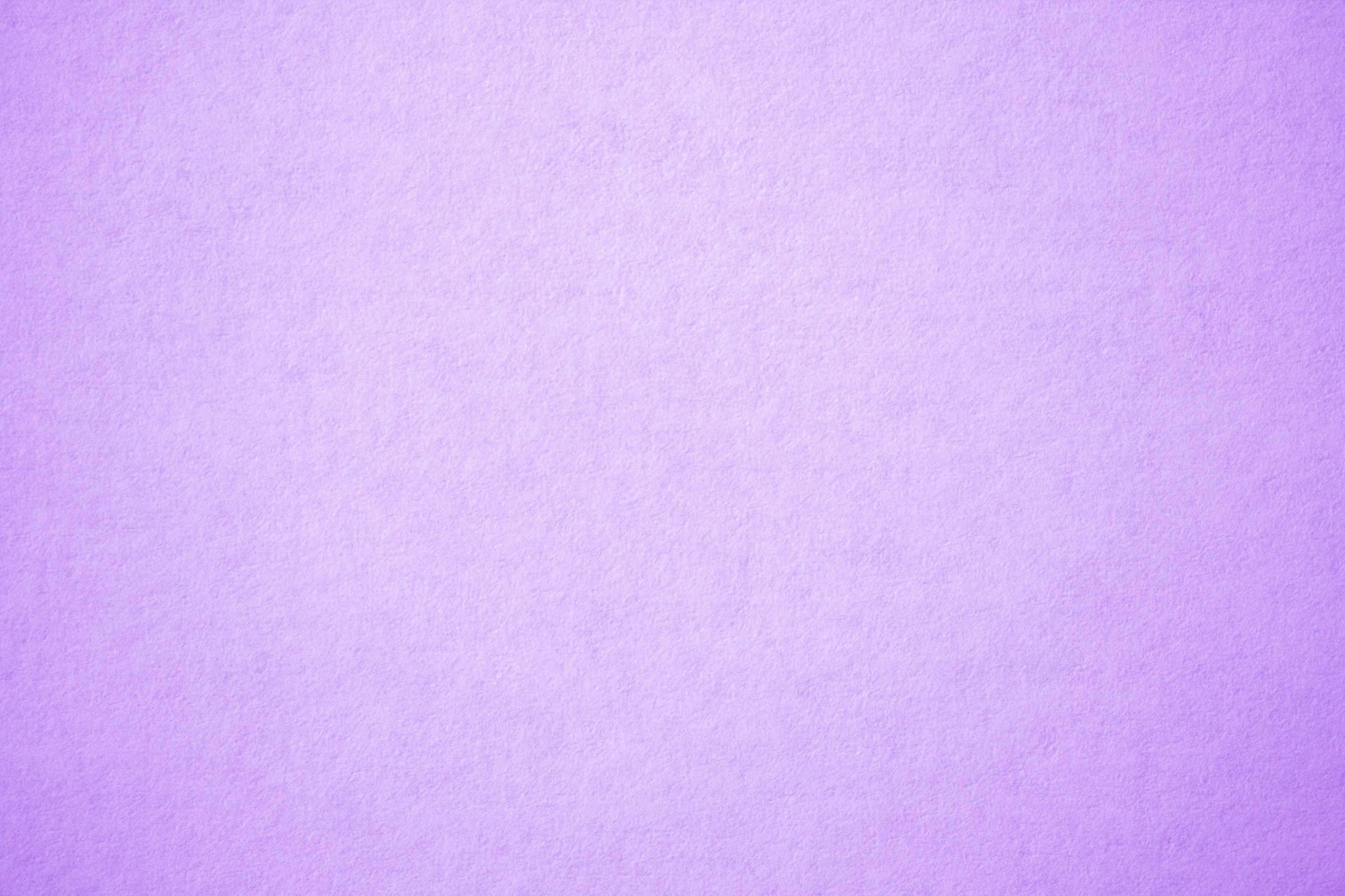 Solid Light Purple, lavender, textured paper, 2K Desktop Wallpaper