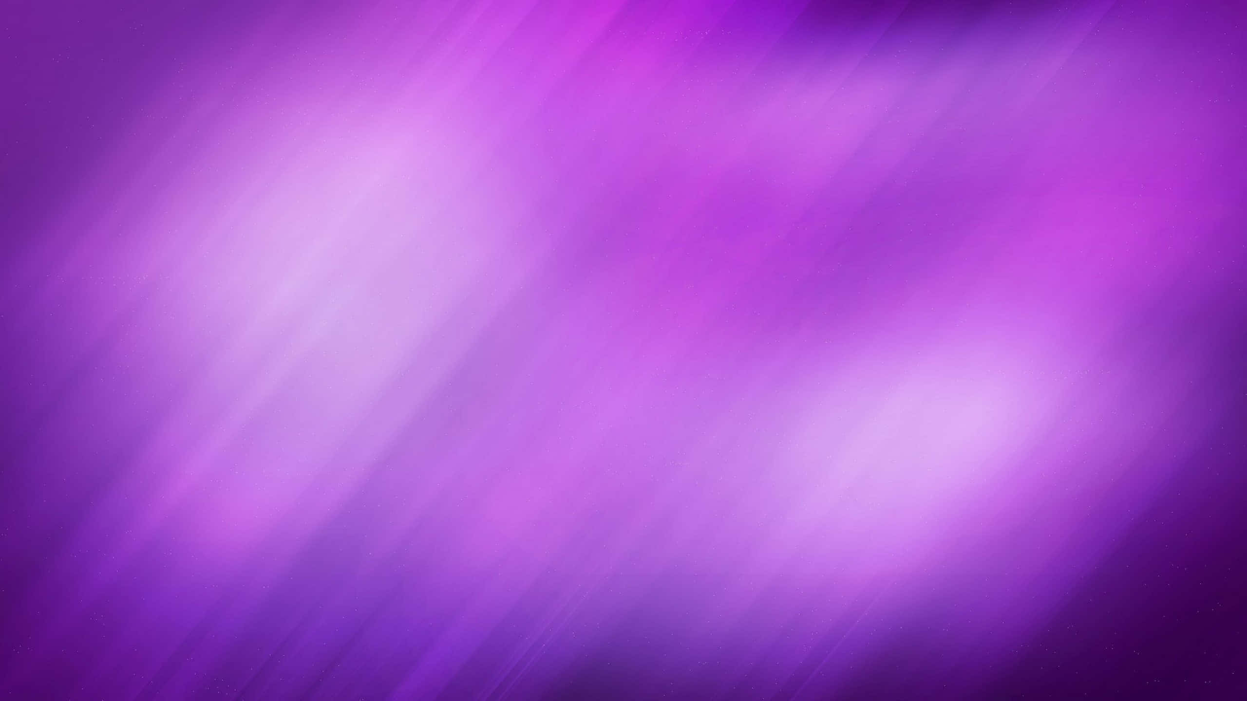 Solid Light Purple, 2560 x 1440, vibrant purple abstract gradient, 2K Desktop Wallpaper