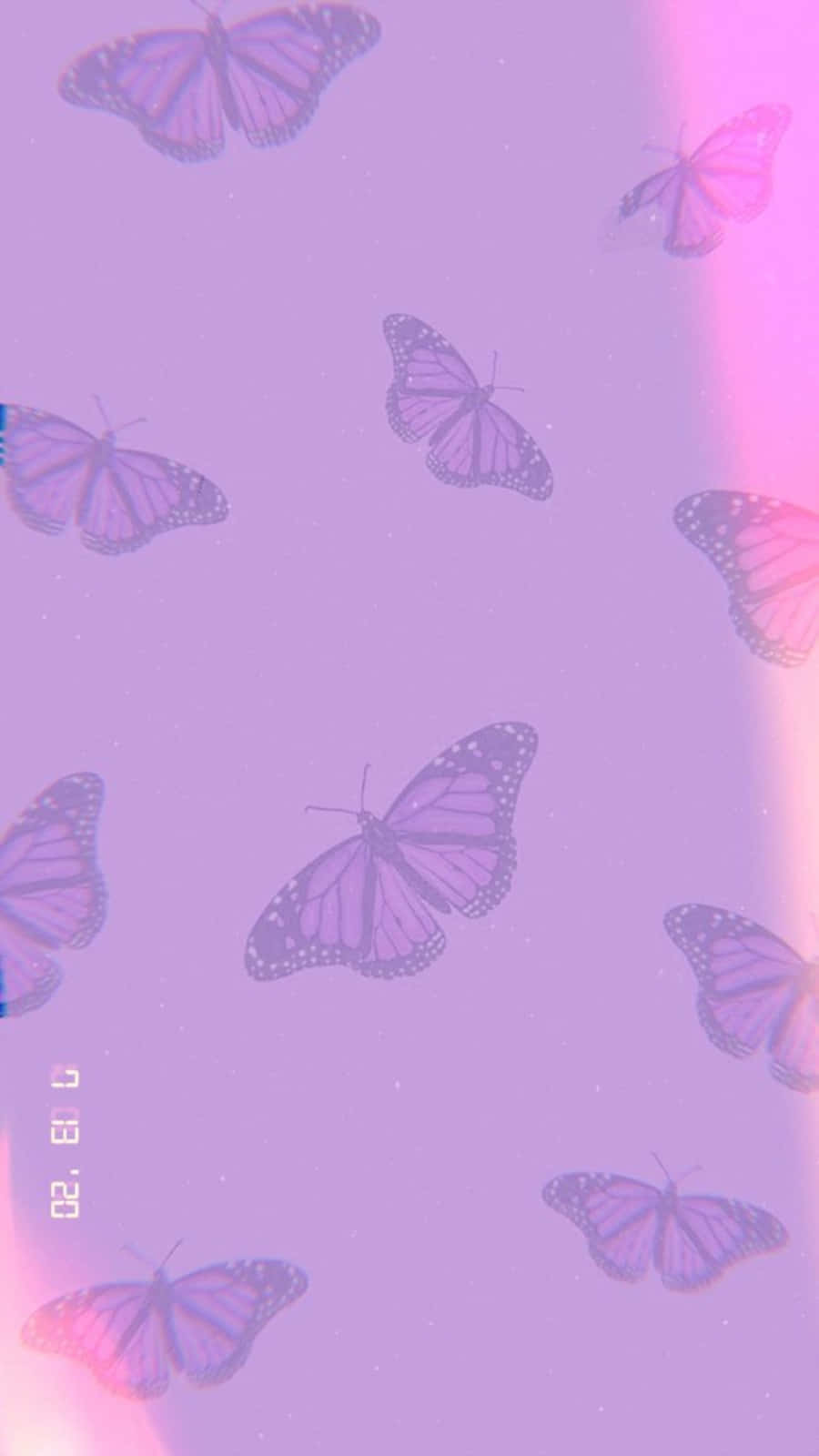 light purple, purple butterflies, soft gradient lavender and pink sky, HD Phone Wallpaper