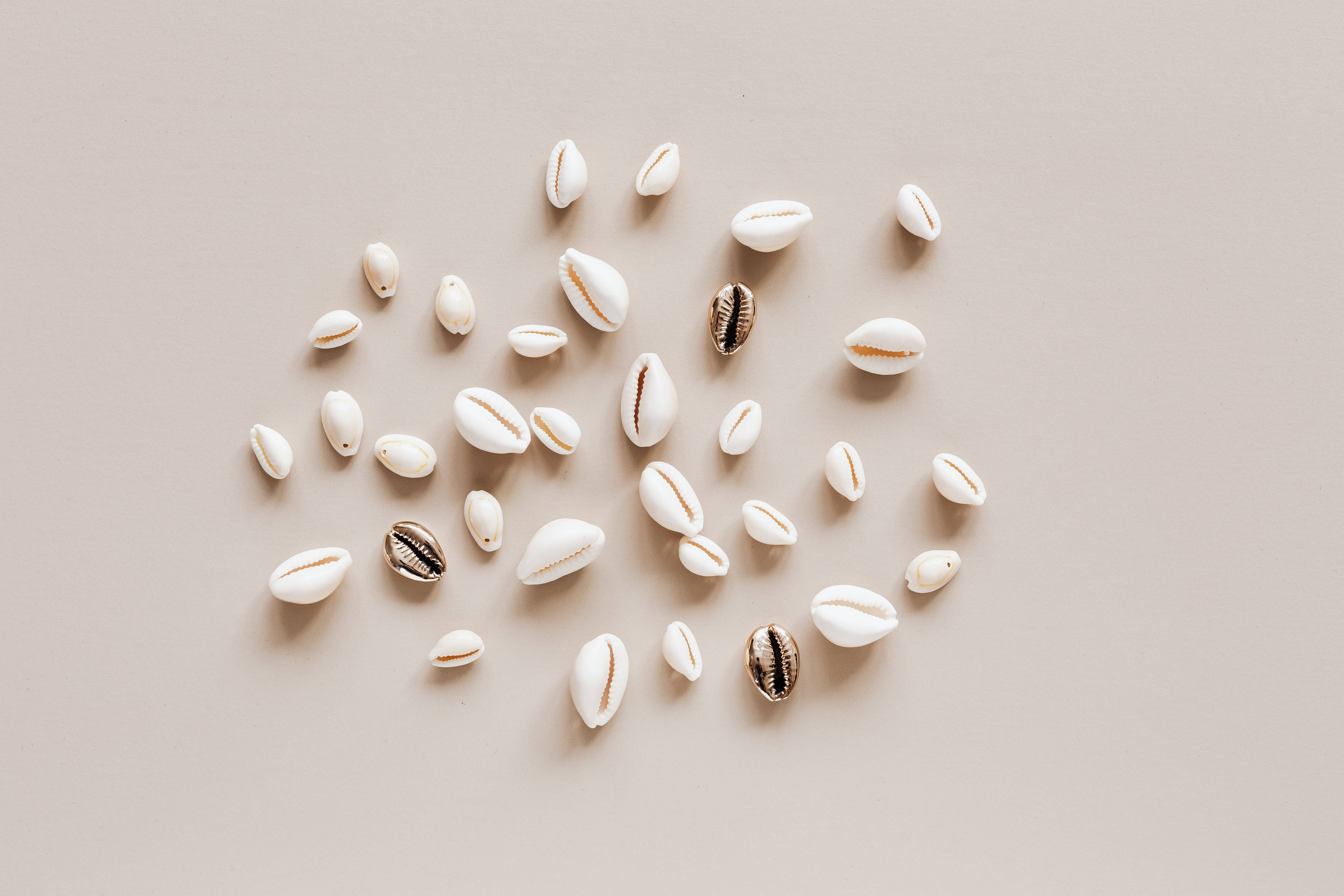 Solid Pastel Color, brown tiny shells, golden stripes, 5K Desktop Wallpaper