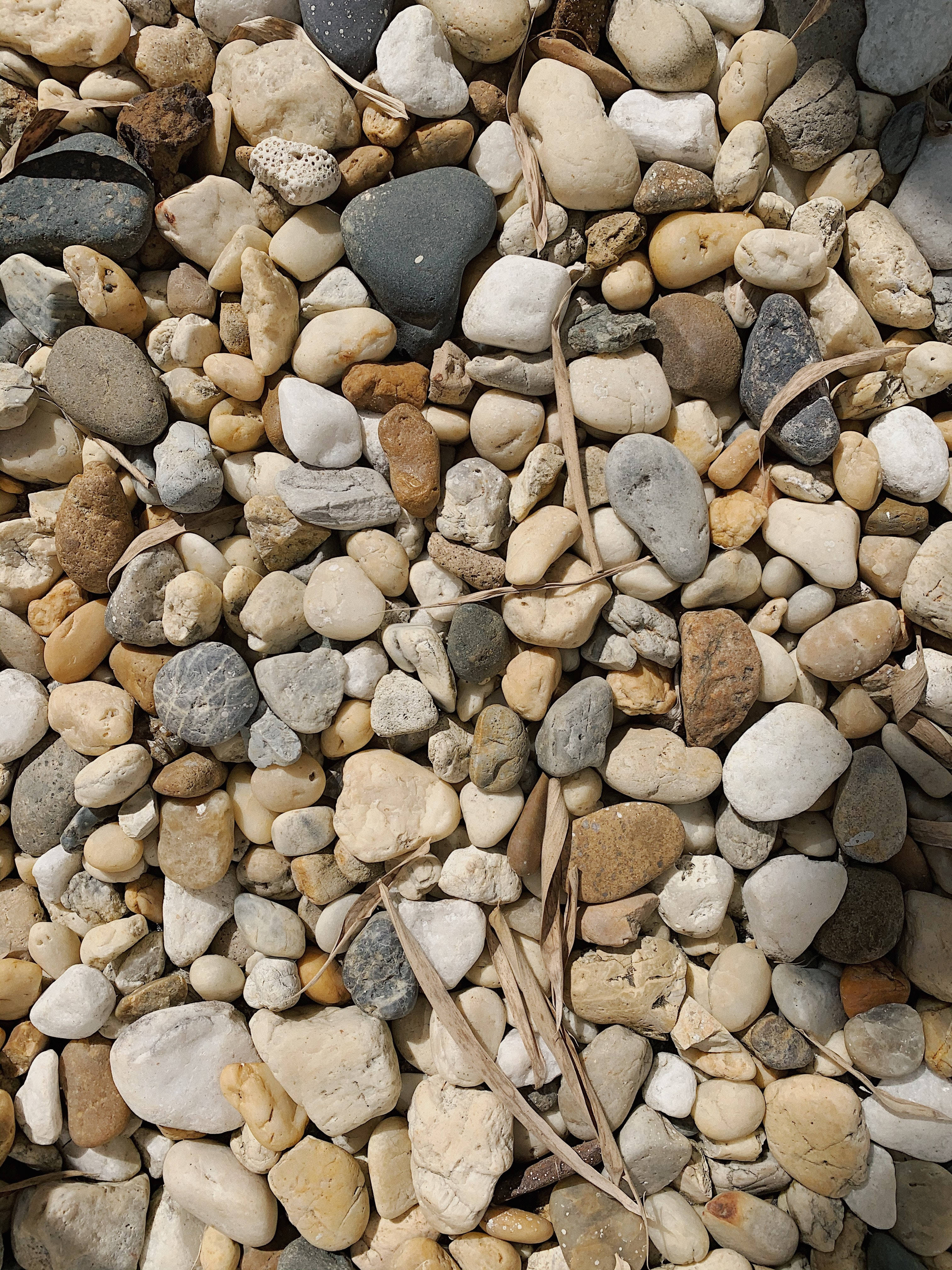 solid pastel color, brown grey pebbles, sunlit pebbles, 4K Phone Wallpaper