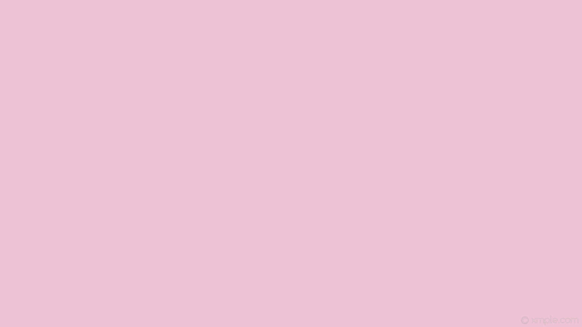 solid pink, soft pink, white background, Full HD Desktop Wallpaper