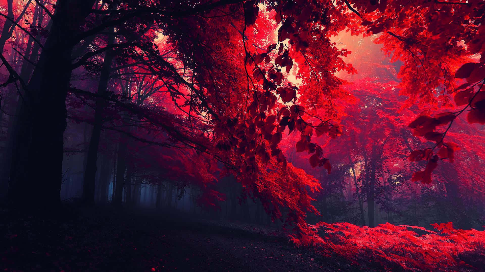 Vibrant Red Background, misty forest, surreal crimson light, Full HD Desktop Wallpaper