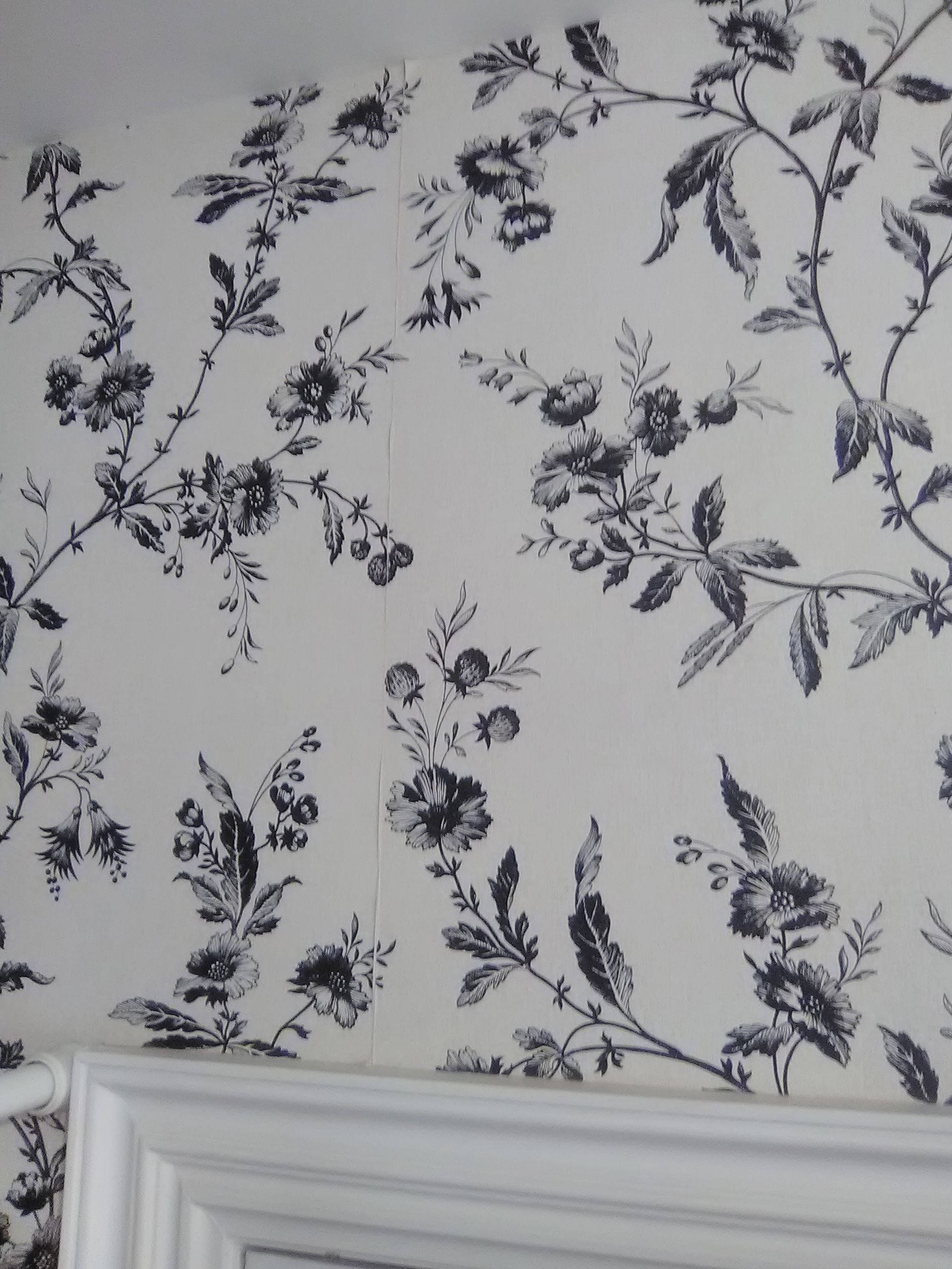 solid white, black and white floral, intricate vines, 2K Phone Wallpaper