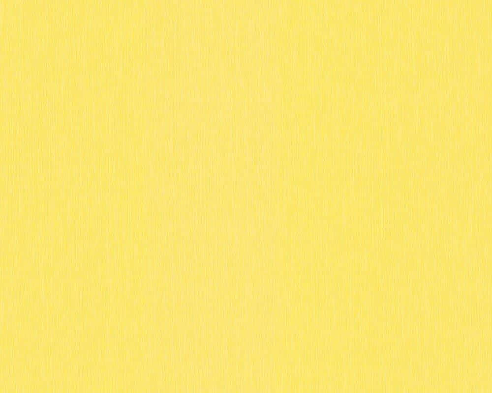 solid yellow, pale yellow, white background, SD Desktop Wallpaper