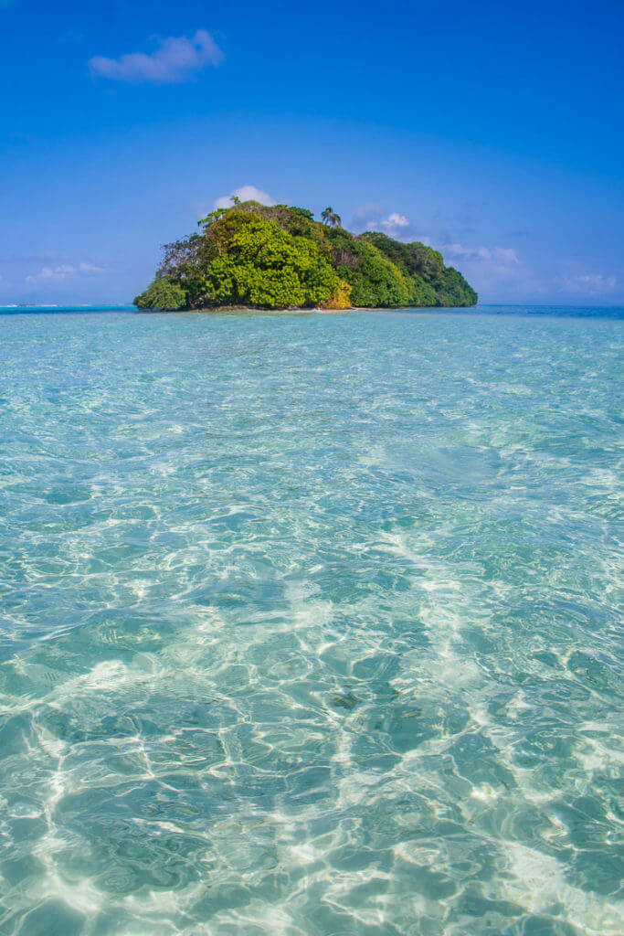 Solomon Islands, clear sea, tropical island, SD Phone Wallpaper