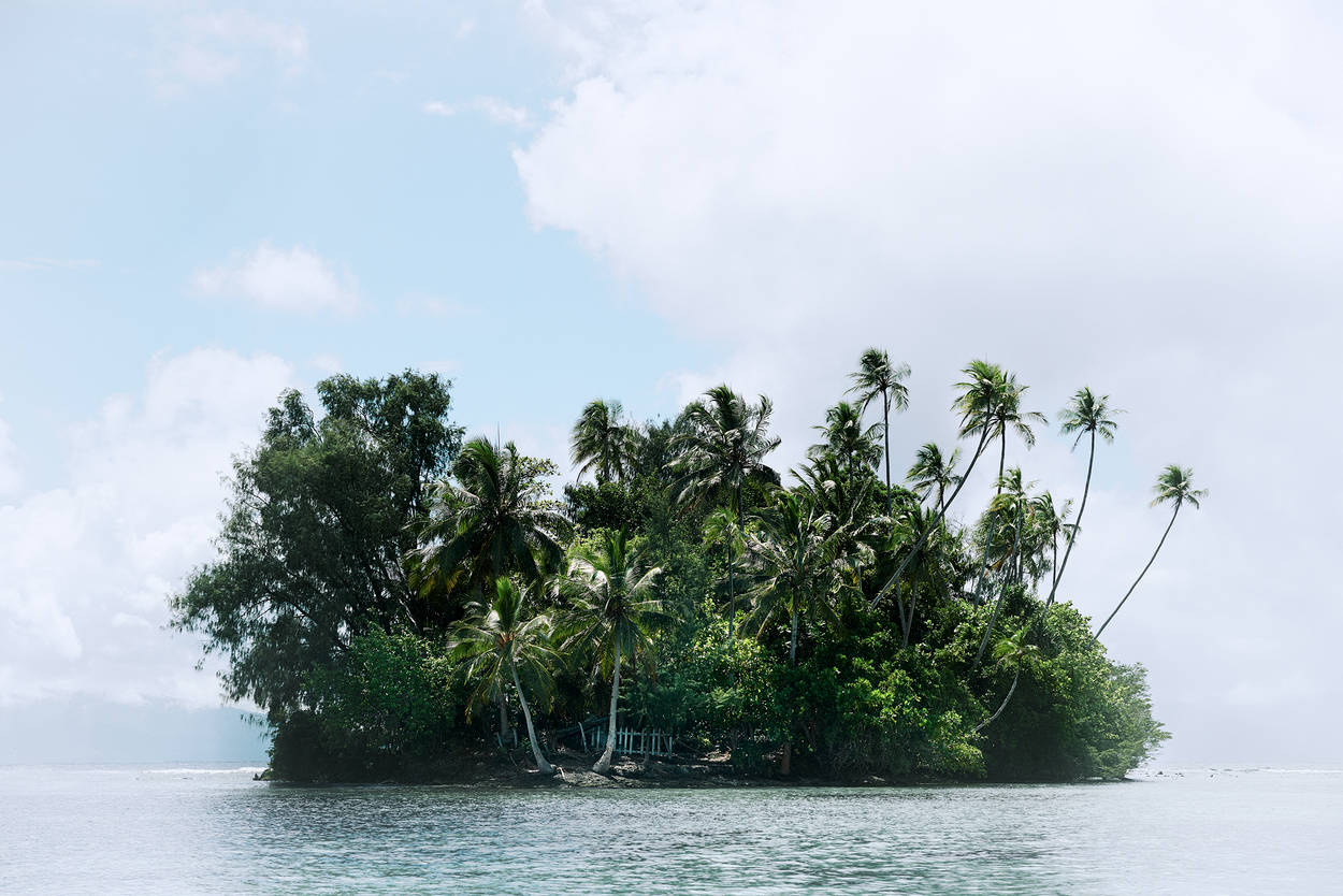 Solomon Islands, tropical island, palm trees, SD Desktop Wallpaper