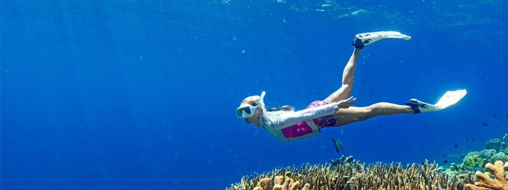 Solomon Islands, scuba diving, coral reefs, SD Desktop Wallpaper