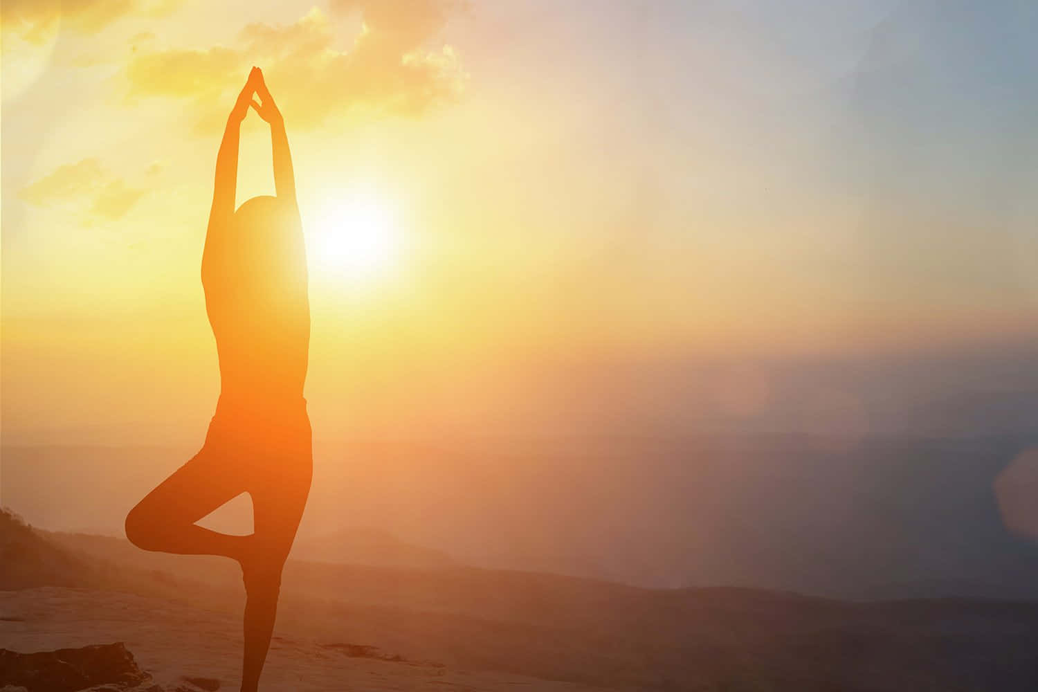Somatic, yoga, tree pose, HD Desktop Wallpaper