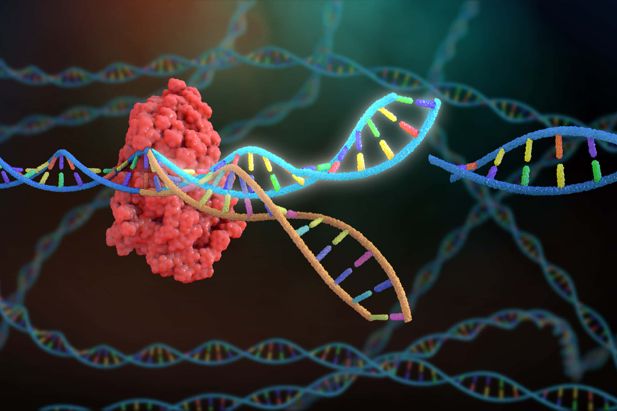 Somatic, colorful DNA, glowing red protein, Full HD Desktop Wallpaper