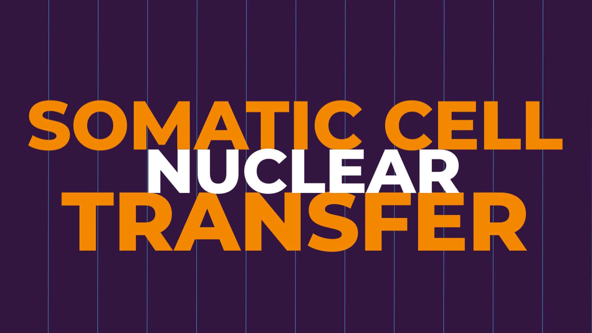 somatic cell nuclear transfer, orange, white, Full HD Desktop Wallpaper