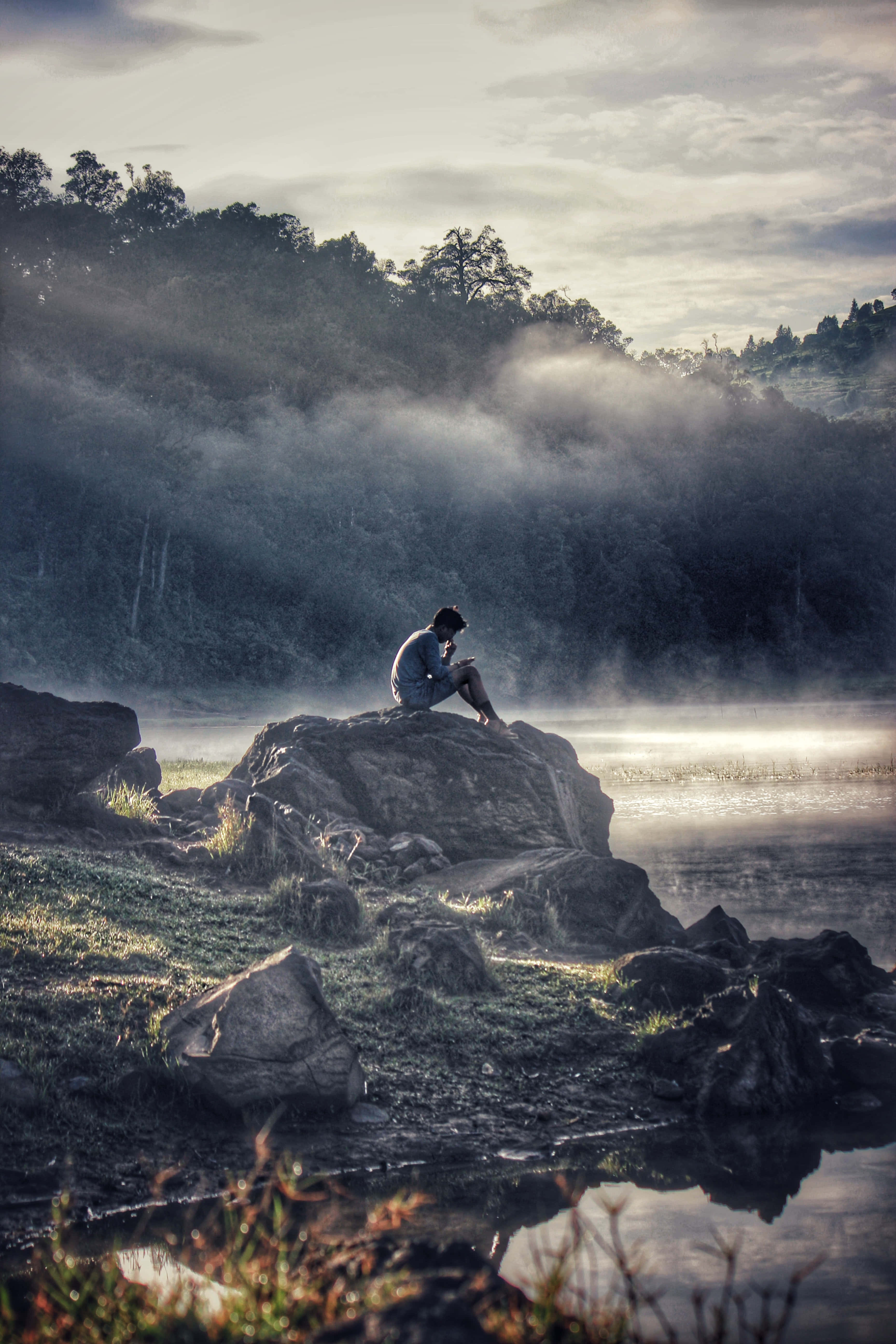 Somber, dawn, mossy rock, 5K Phone Wallpaper