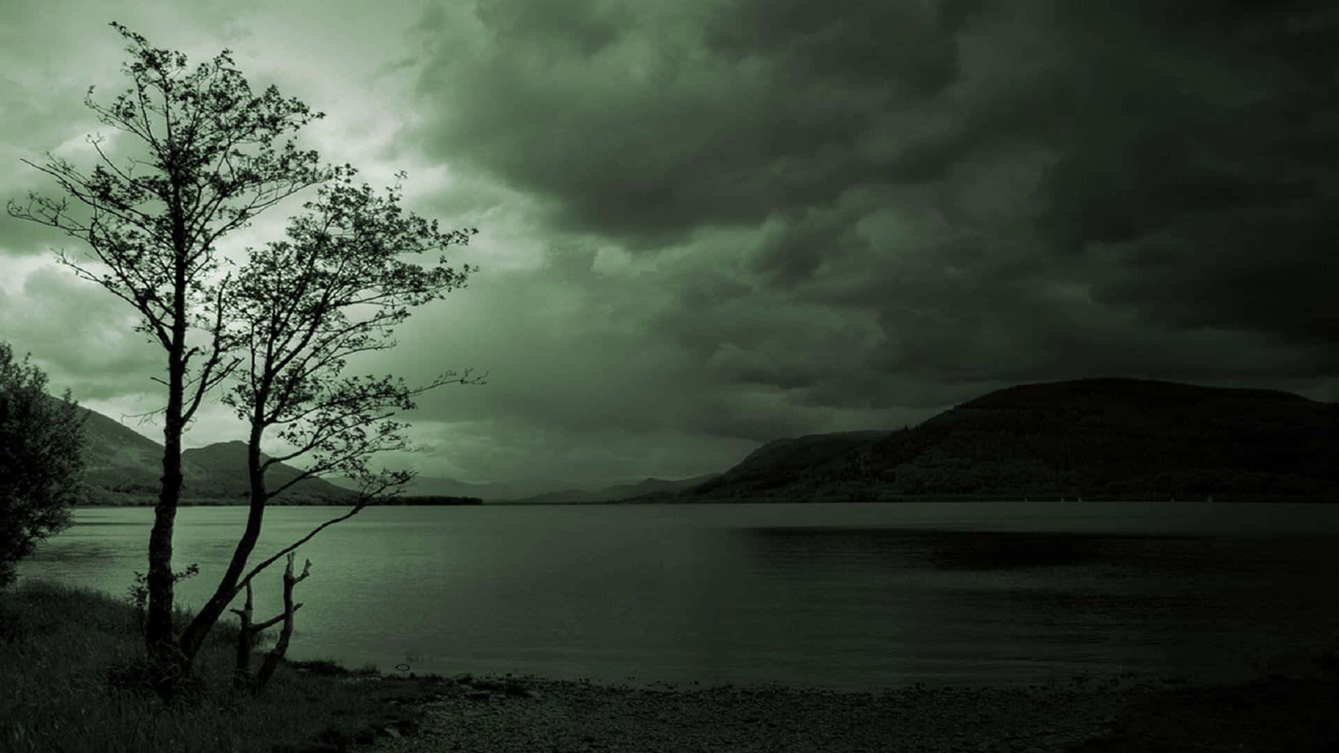 Somber Scene Beside The Lake, gnarled tree, calm lake, Full HD Desktop Wallpaper