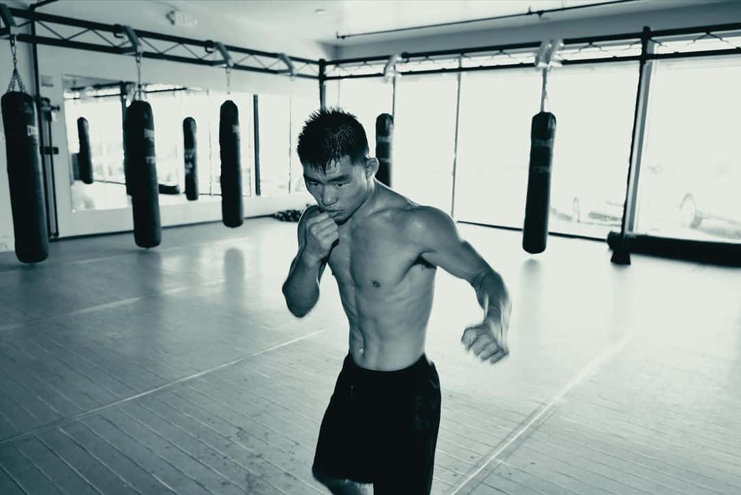 Song Yadong, boxing stance, sunlit gym, SD Desktop Wallpaper