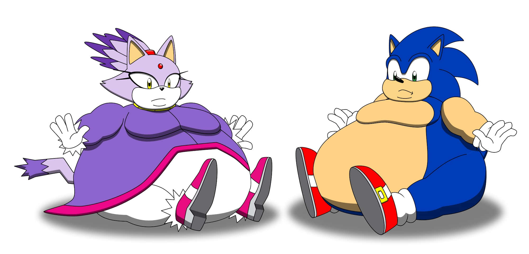 Sonic, Blaze, purple cat, Full HD Desktop Wallpaper