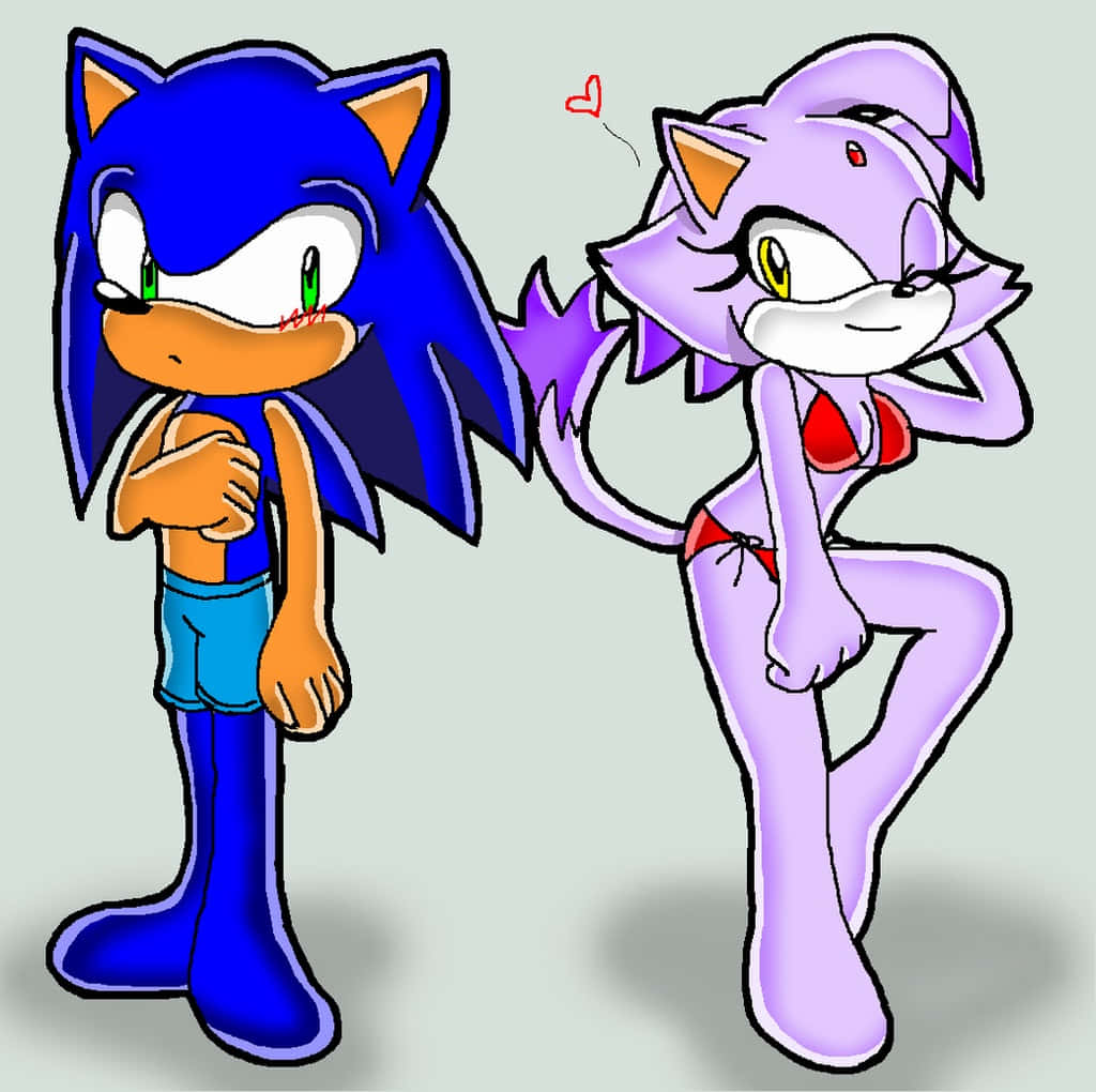 Sonic, Blaze, blue hedgehog, SD Desktop Wallpaper