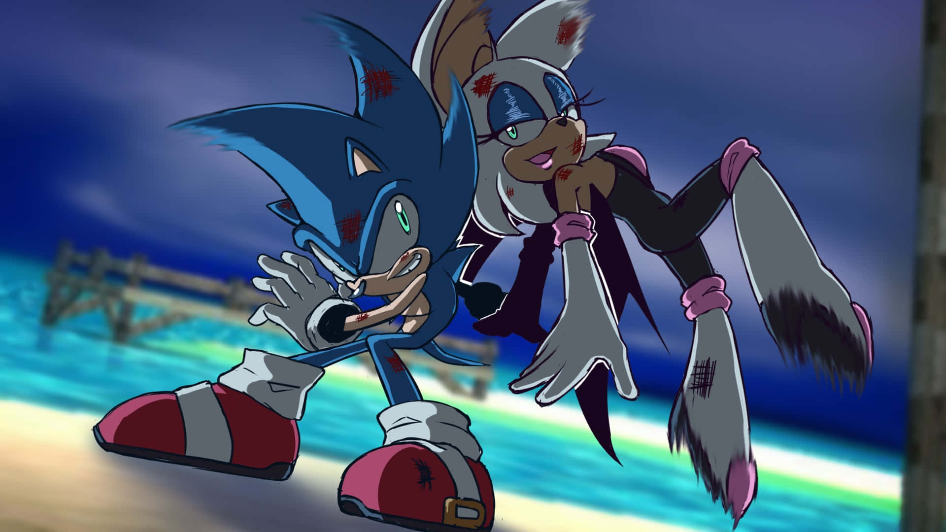 Sonic, Rouge, beach, Full HD Desktop Wallpaper