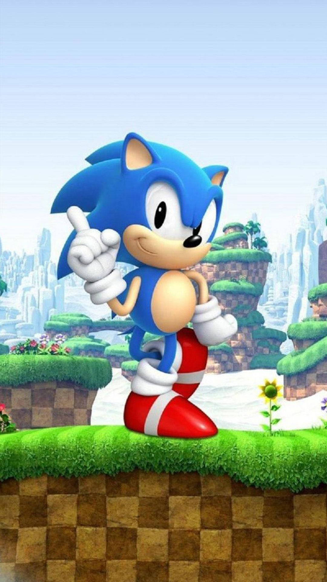 Sonic the Hedgehog, grassy platform, vibrant game world, Full HD Phone Wallpaper