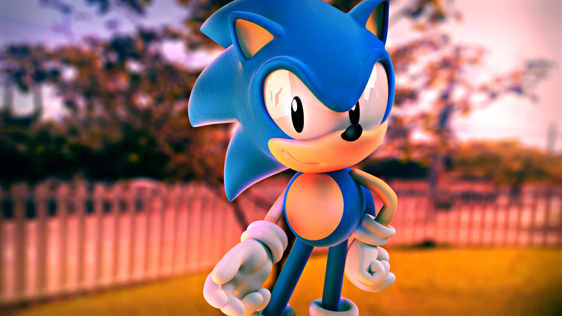 Sonic The Hedgehog 3, Sonic the Hedgehog, sunlit yard, Full HD Desktop Wallpaper