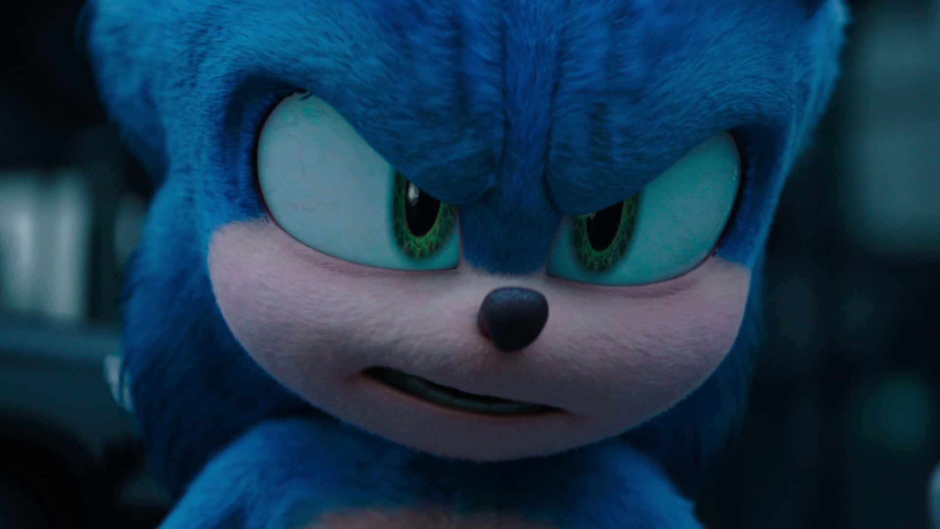 Sonic The Hedgehog 3, Sonic, blue hedgehog, Full HD Desktop Wallpaper