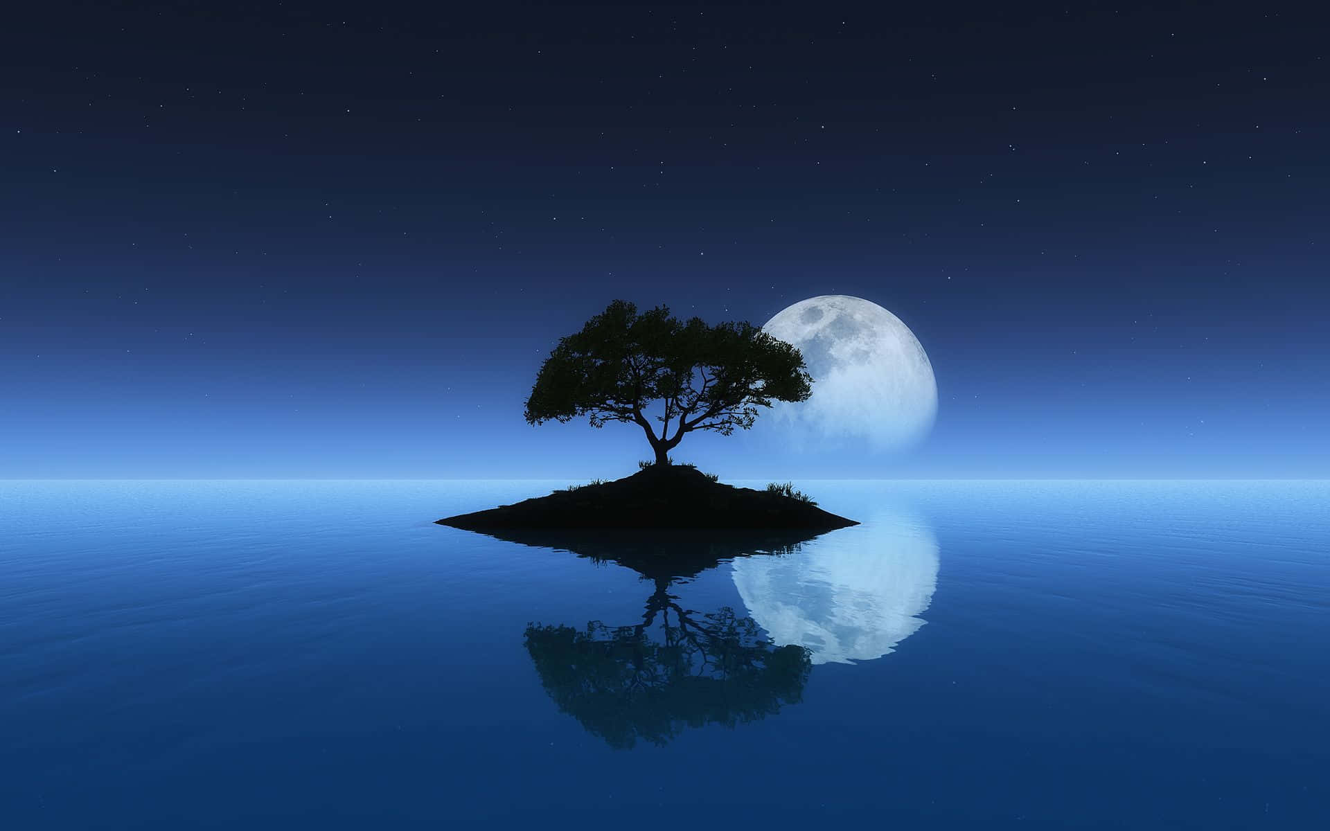 lone tree, small island, full moon, Full HD Desktop Wallpaper