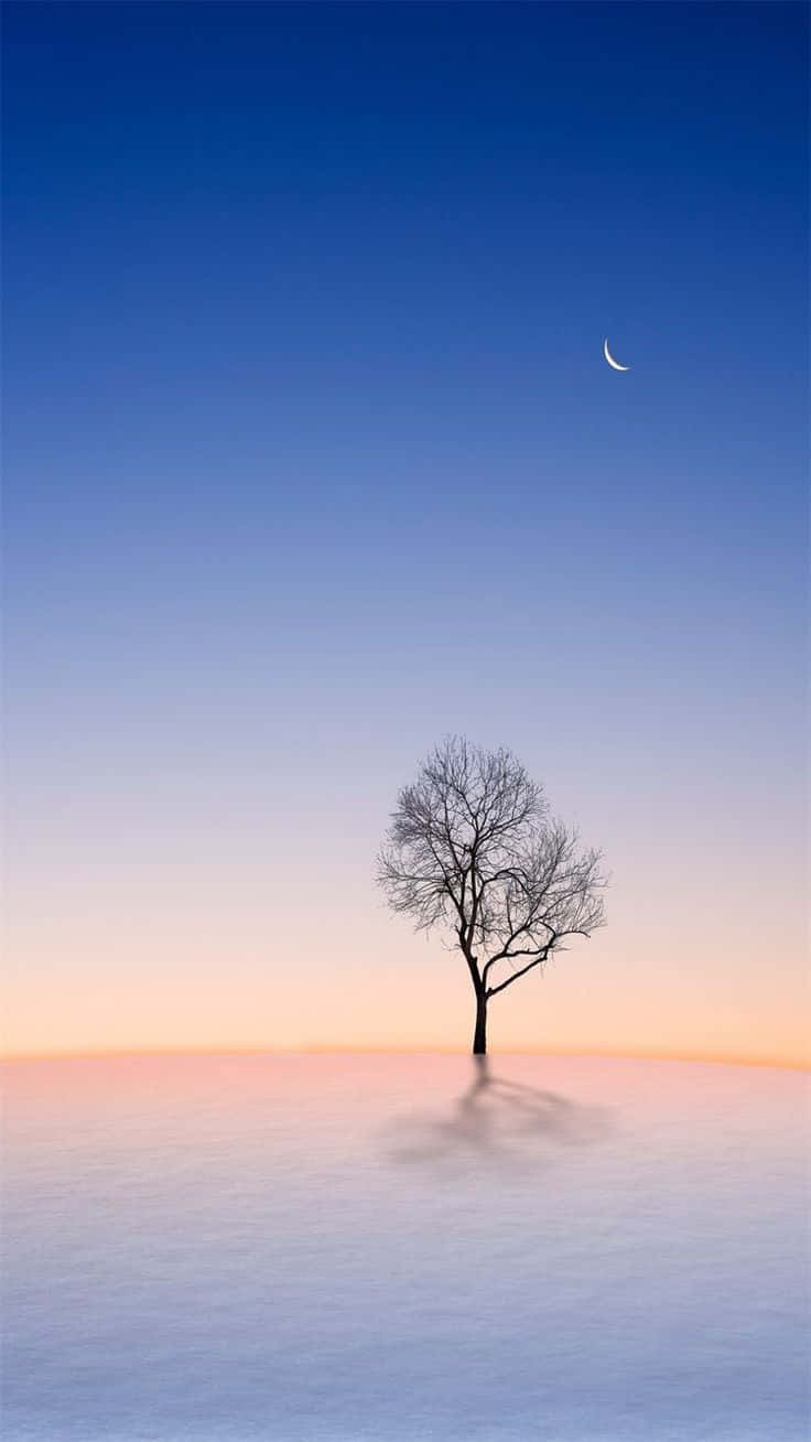 bare tree, frozen field, twilight sky, HD Phone Wallpaper