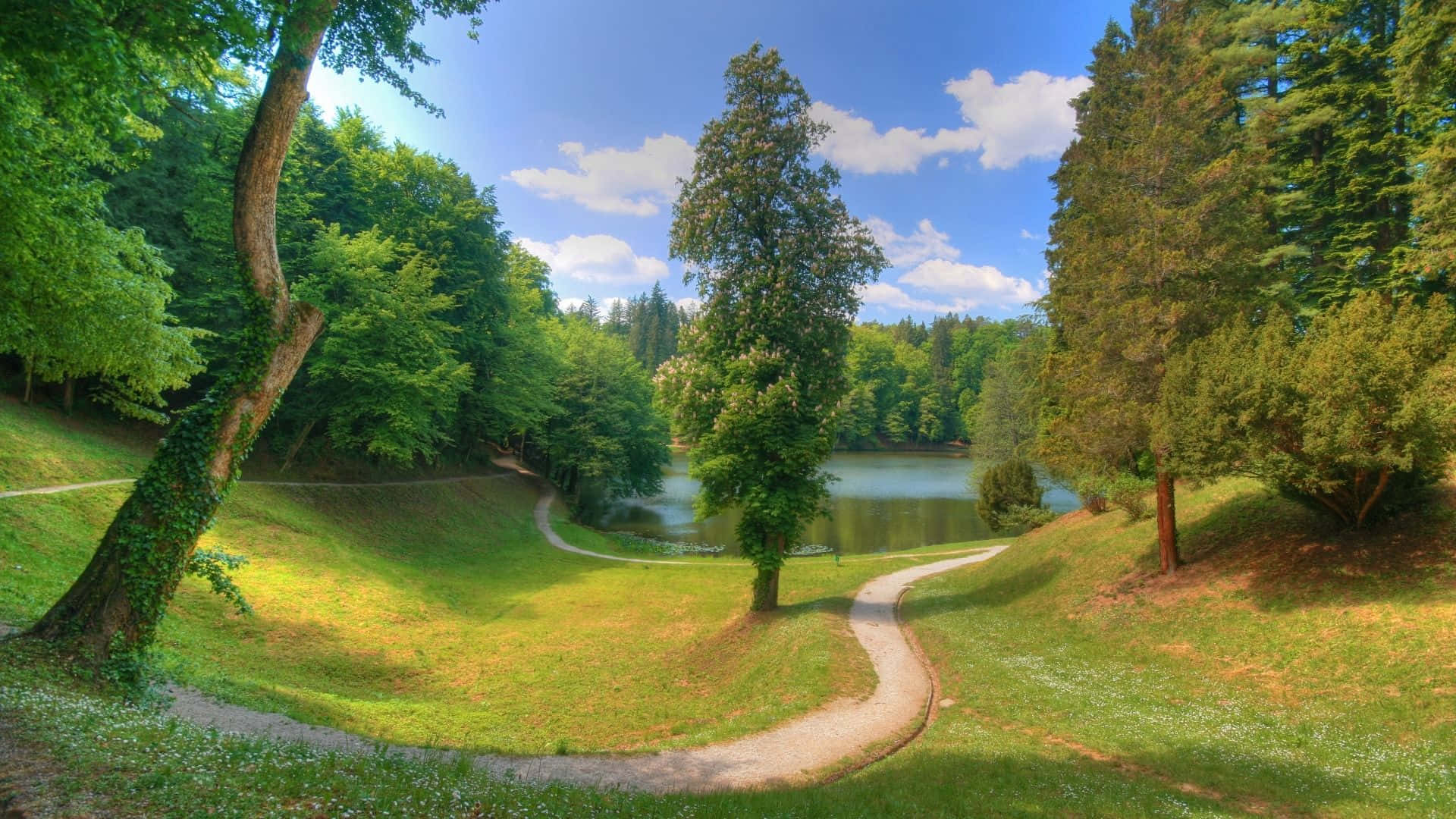 winding path, lush green grass, calm lake, Full HD Desktop Wallpaper