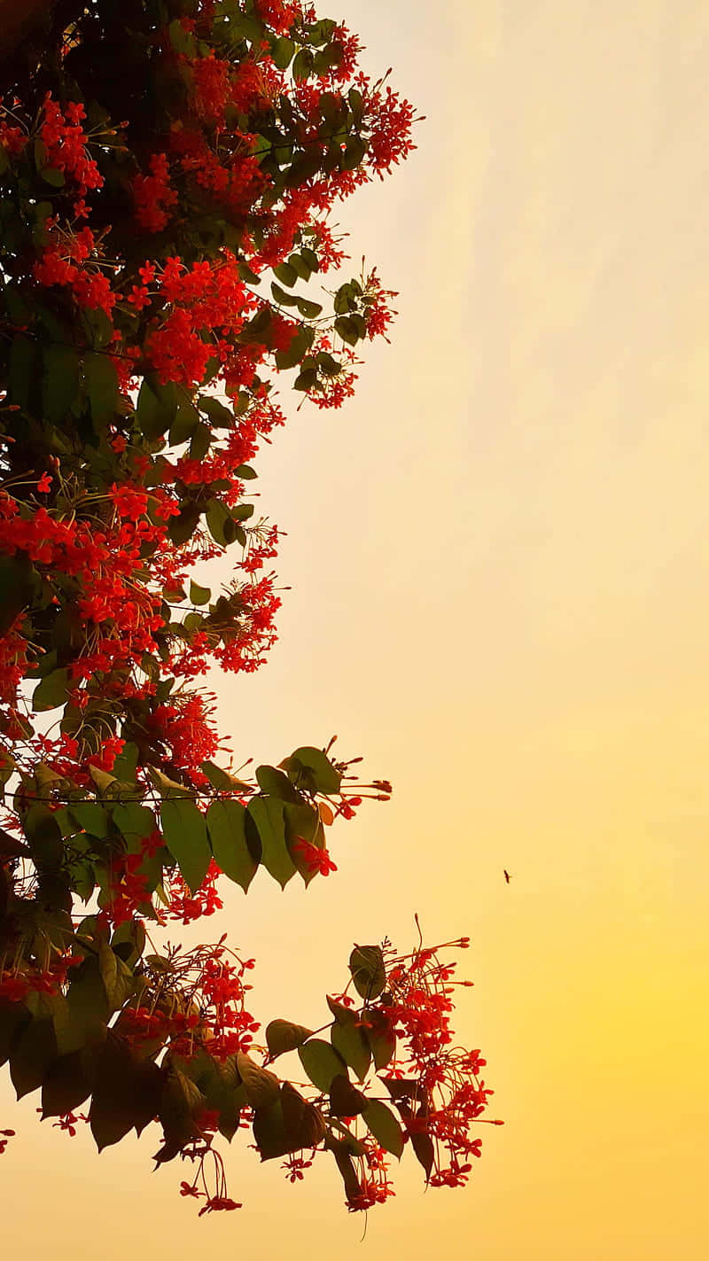 vibrant red flowers, warm golden sunset sky, lone bird in flight, HD Phone Wallpaper