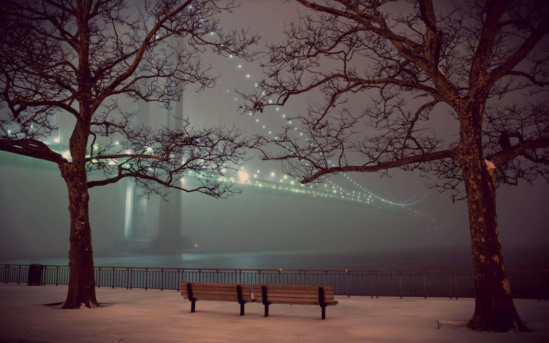 foggy night sky, glowing bridge, bare trees, Full HD Desktop Wallpaper