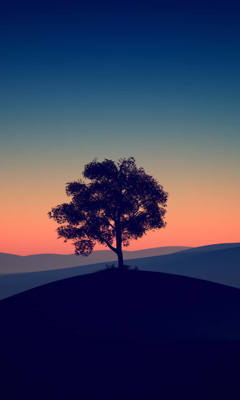 sunset, orange, deep blue, HD Phone Wallpaper