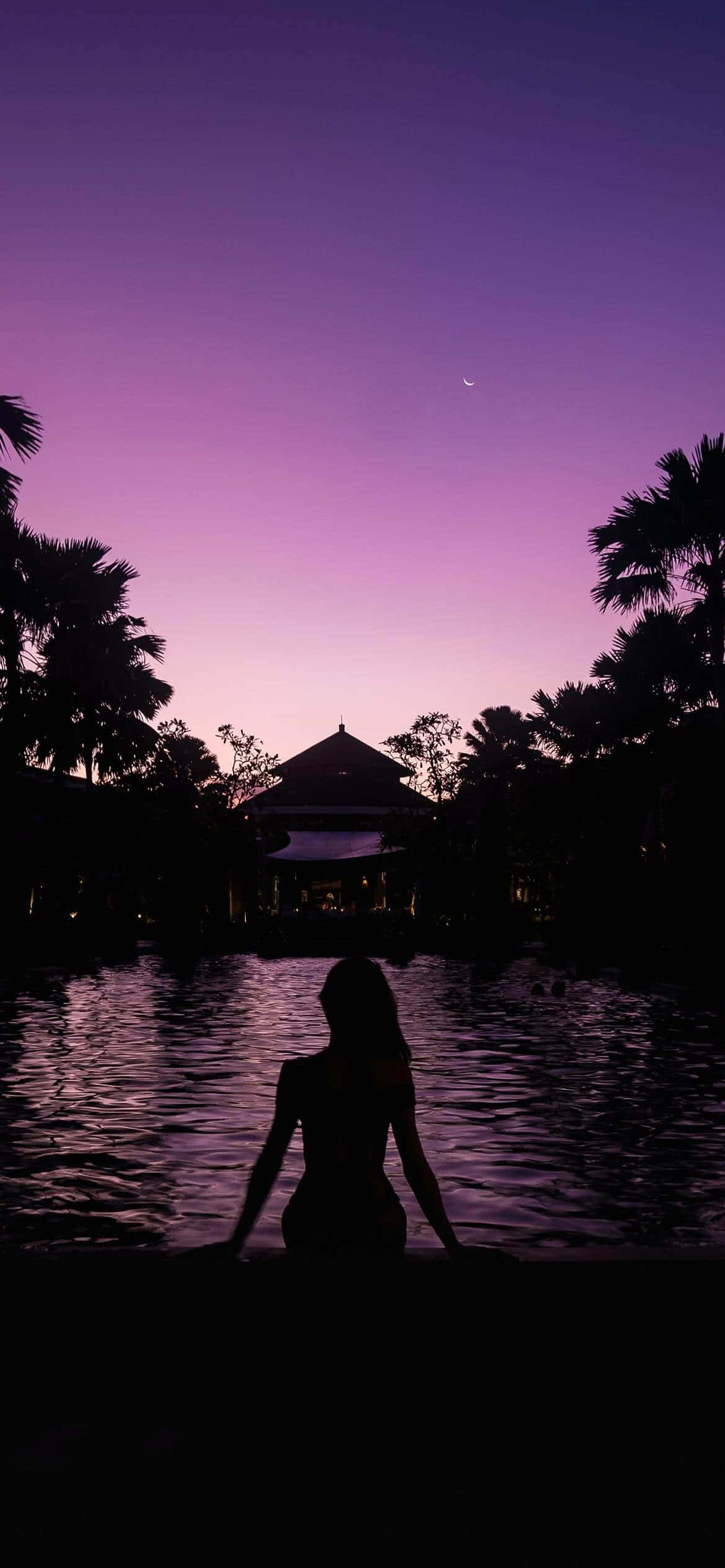 vibrant purple twilight sky, crescent moon, palm trees, Full HD Phone Wallpaper