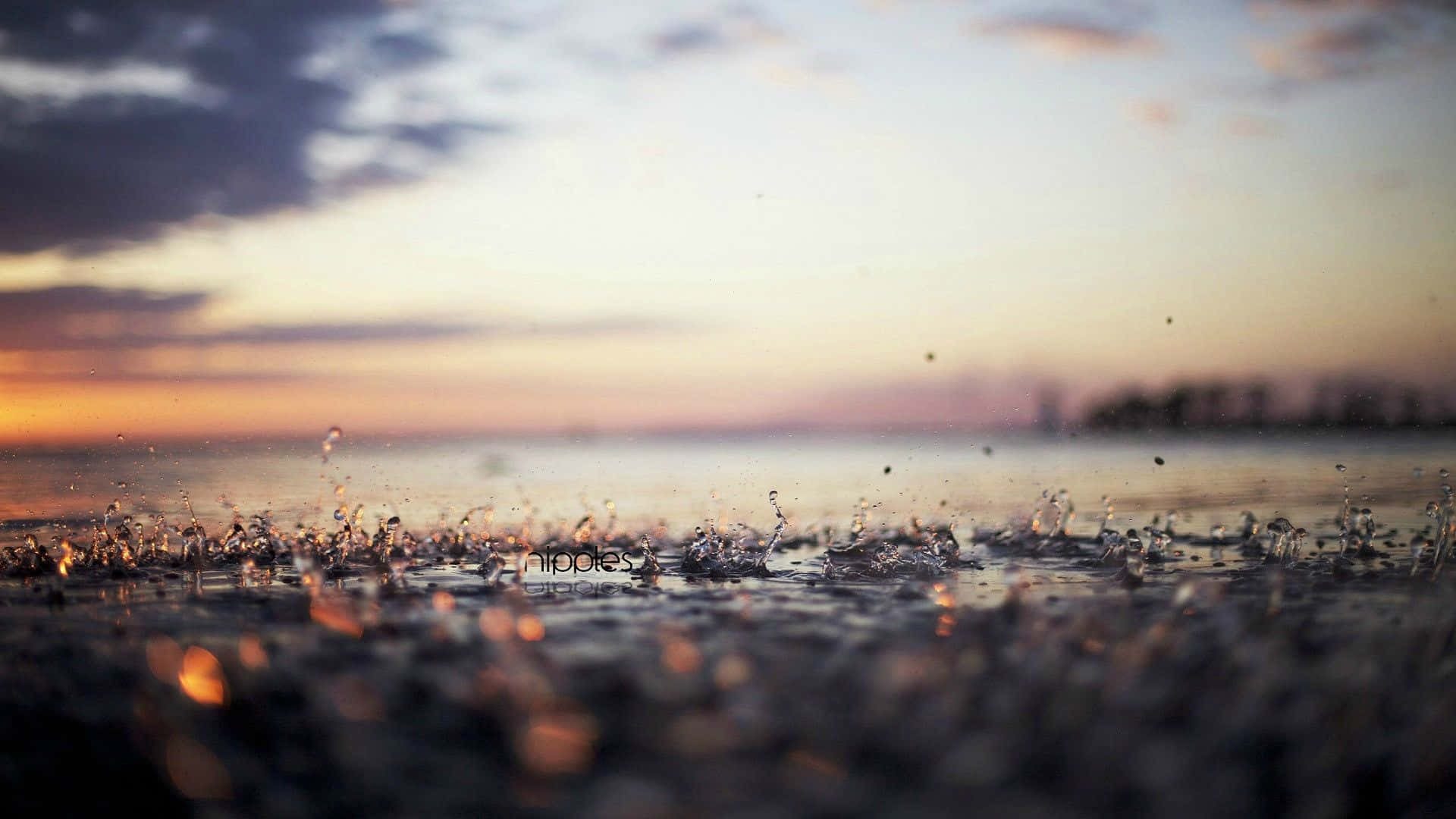 water droplet, wet ground, sunset, Full HD Desktop Wallpaper