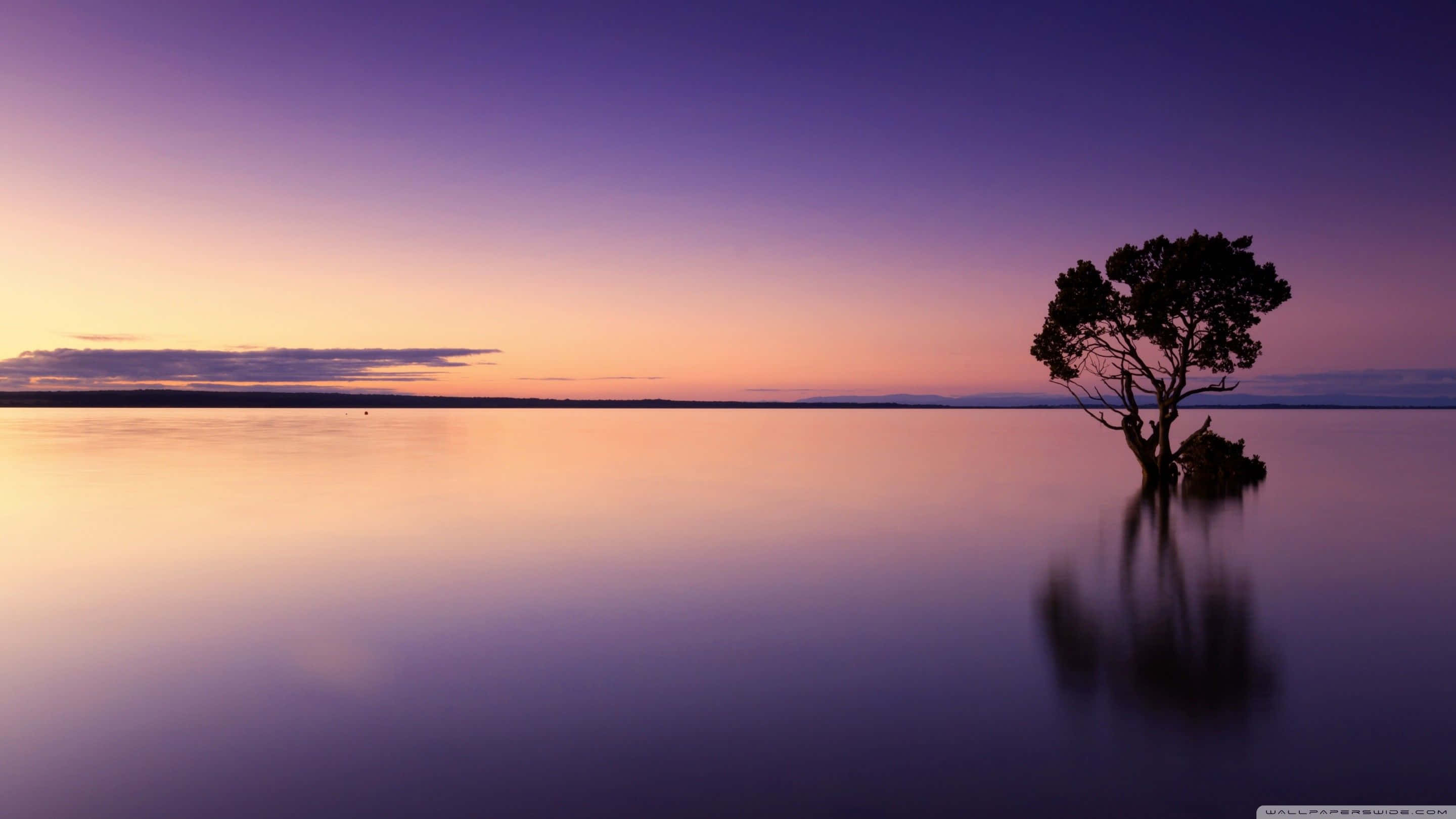 twilight, calm lake, purple and orange gradient sky, 2K Desktop Wallpaper