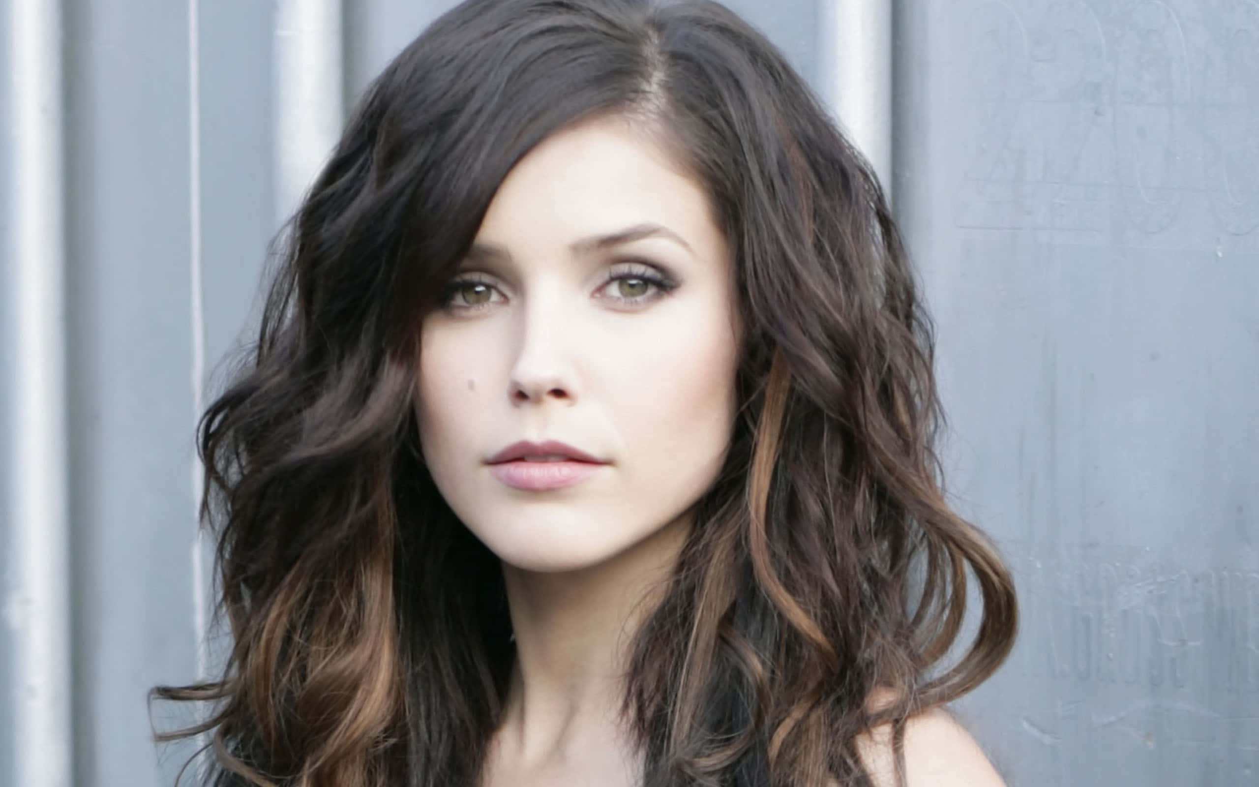 Sophia Bush, wavy dark brown hair, soft makeup, 2K Desktop Wallpaper
