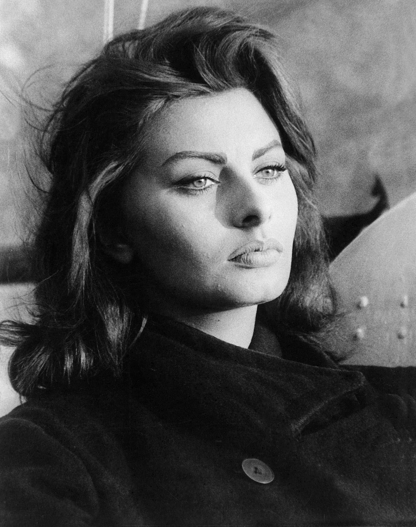 Sophia Loren, black and white, intense eyes, HD Phone Wallpaper