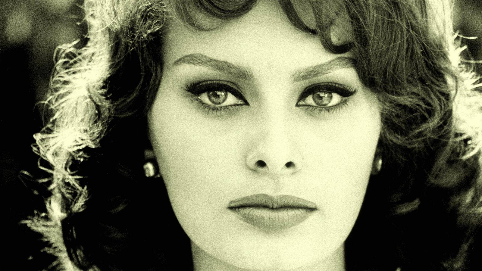 Sophia Loren, 1964, black and white, HD Desktop Wallpaper