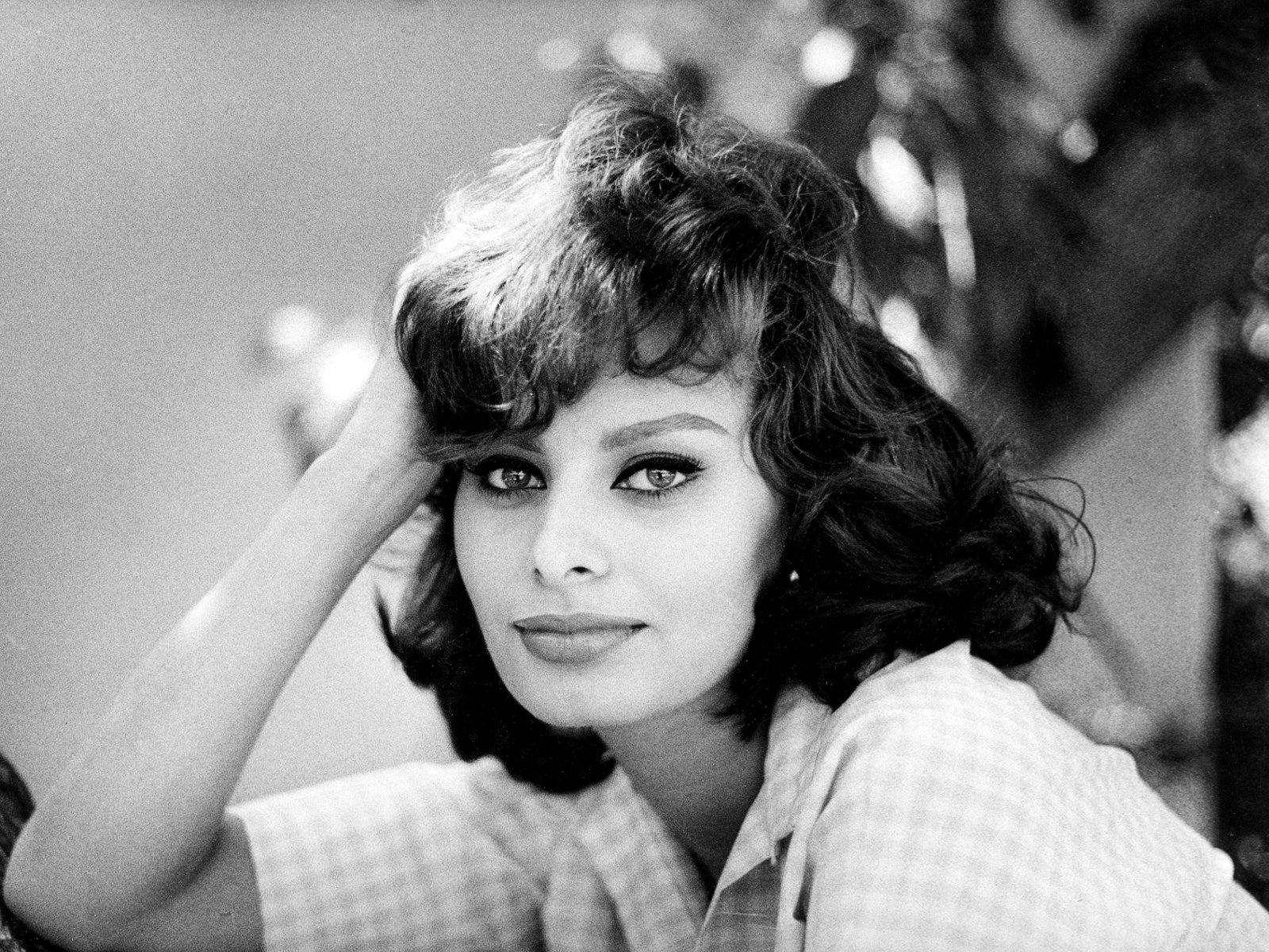 Sophia Loren, black and white portrait, voluminous hair, HD Desktop Wallpaper
