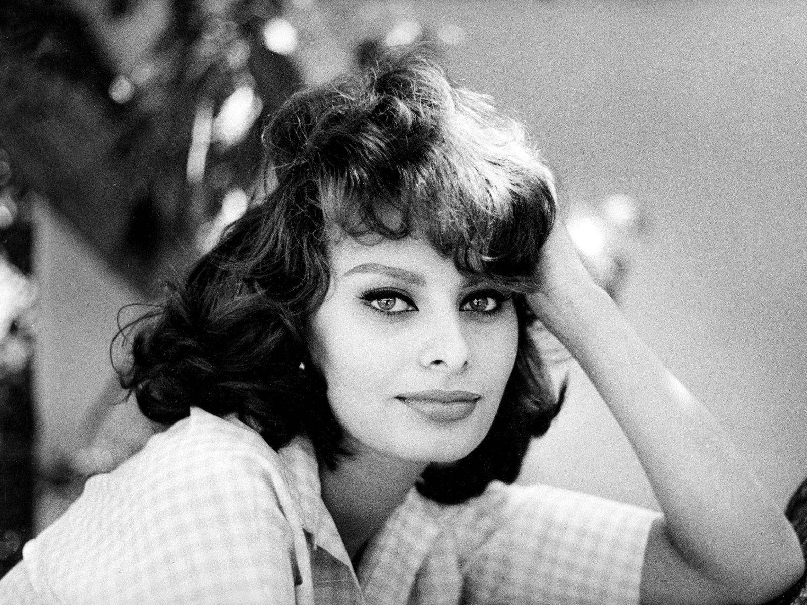 Sophia Loren, voluminous hair, bold eyes, HD Desktop Wallpaper