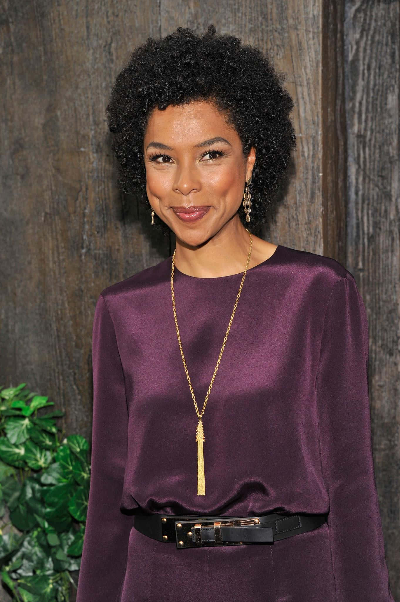 Sophie Okonedo, purple satin dress, curly hair, Full HD Phone Wallpaper