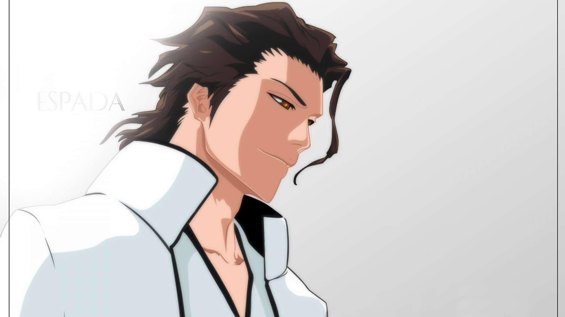 Sosuke Aizen, spiky brown hair, amber eyes, Full HD Desktop Wallpaper