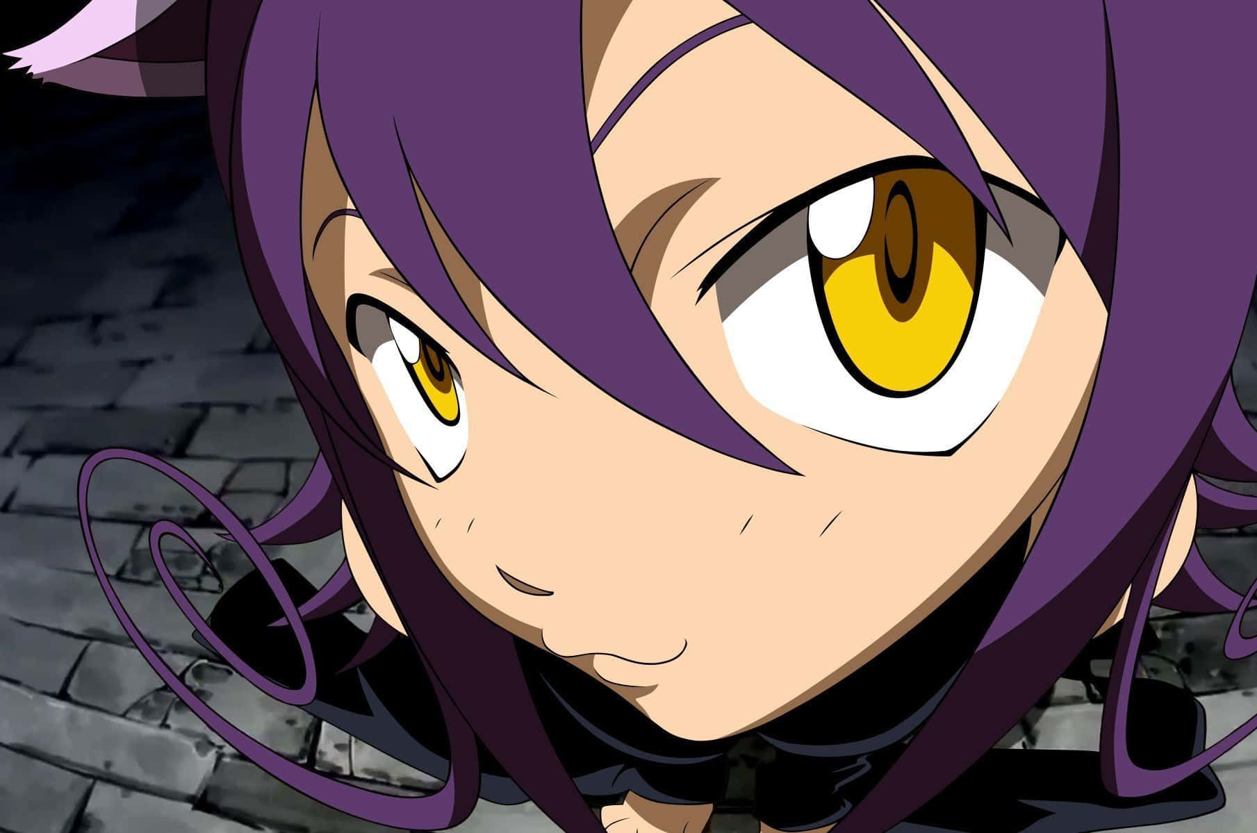 Blair, Soul Eater, witch form, HD Desktop Wallpaper