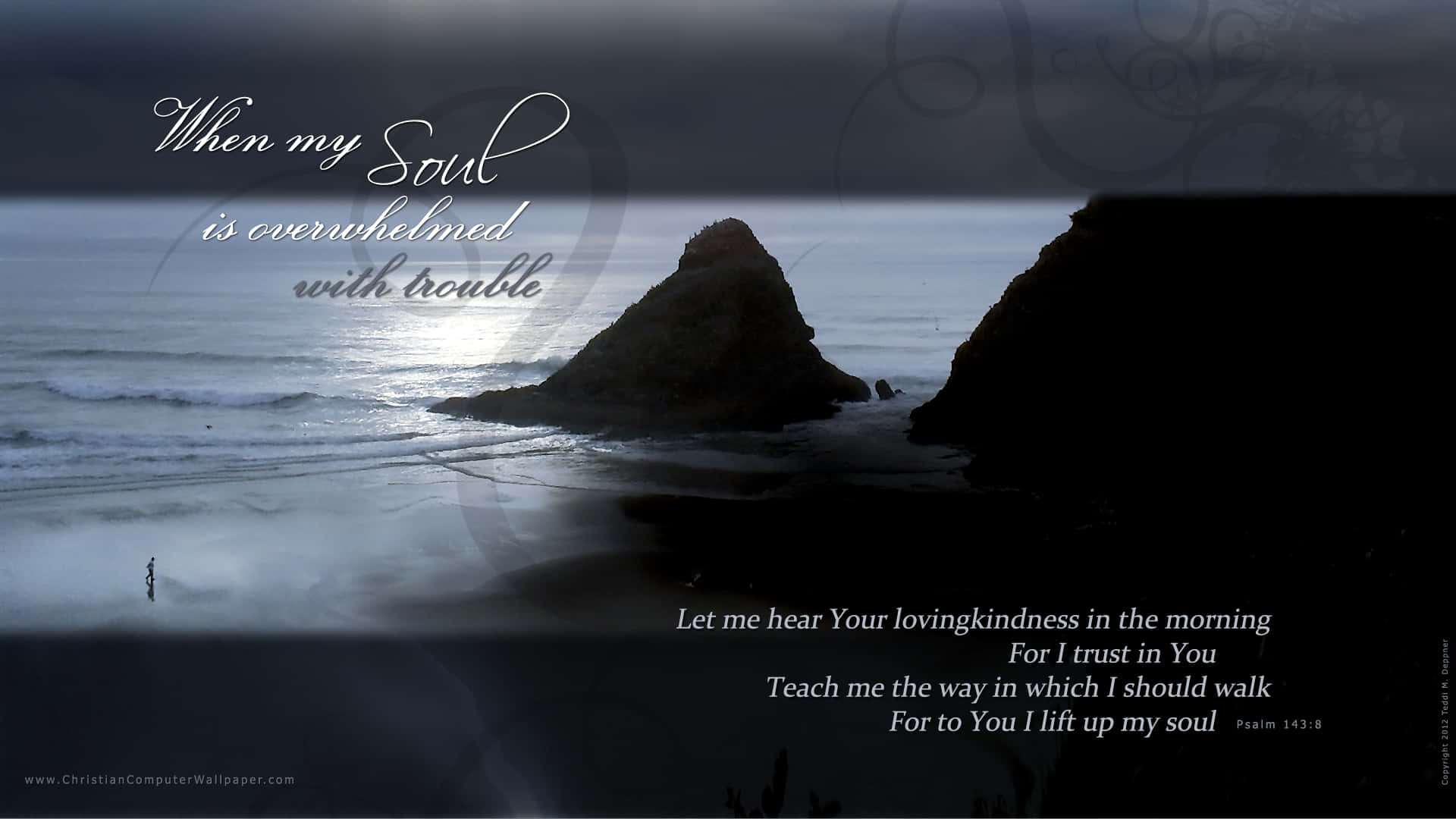 dawn, misty beach, lone figure, Full HD Desktop Wallpaper