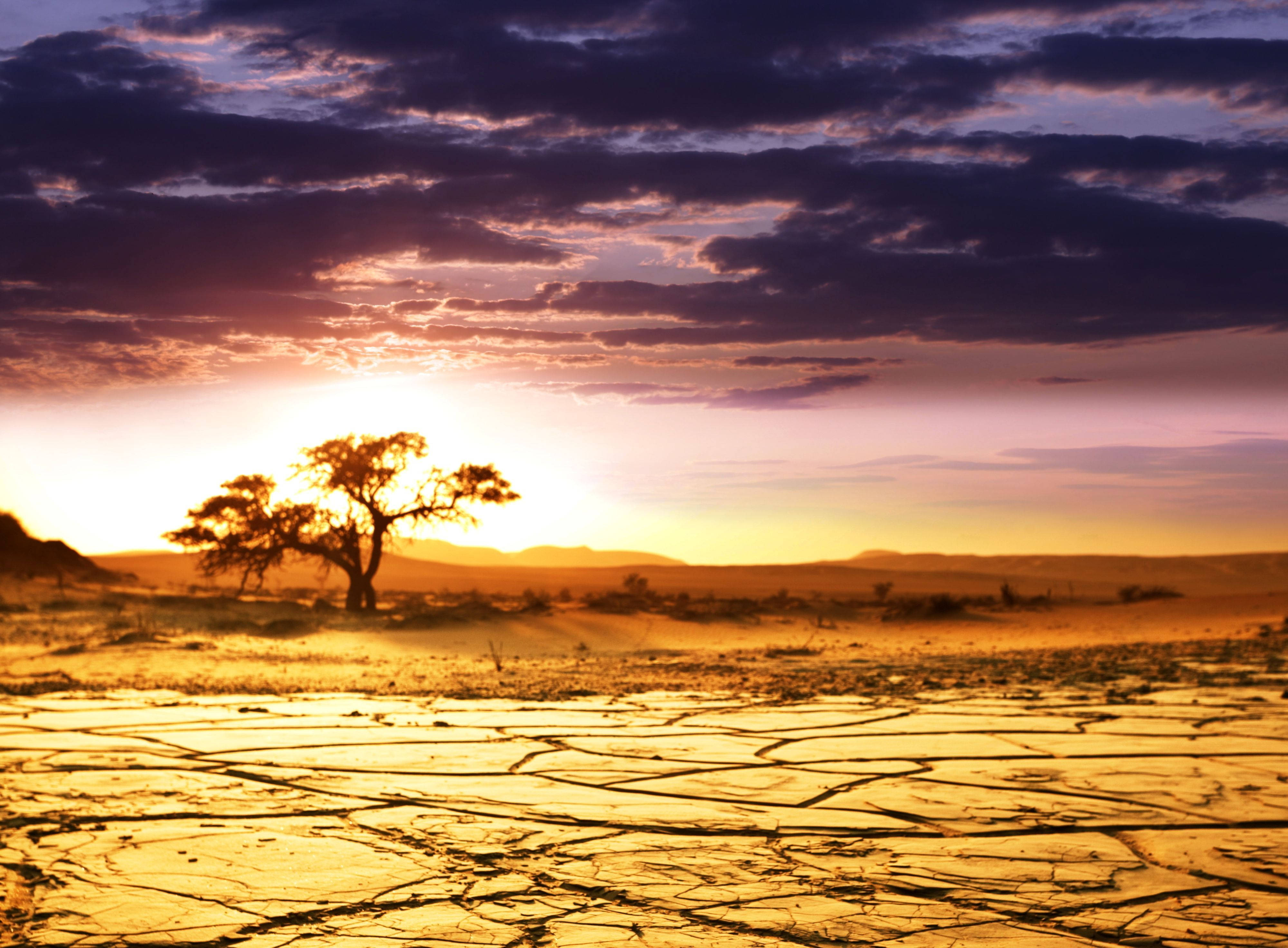 dark violet sky, sunset, cracked earth, 4K Desktop Wallpaper