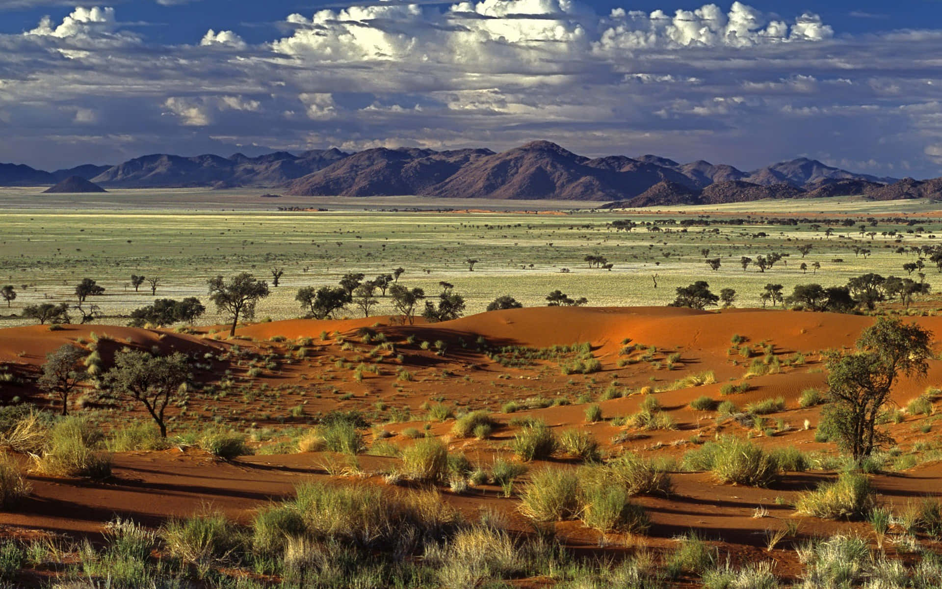 africa, red dunes, green plains, Full HD Desktop Wallpaper