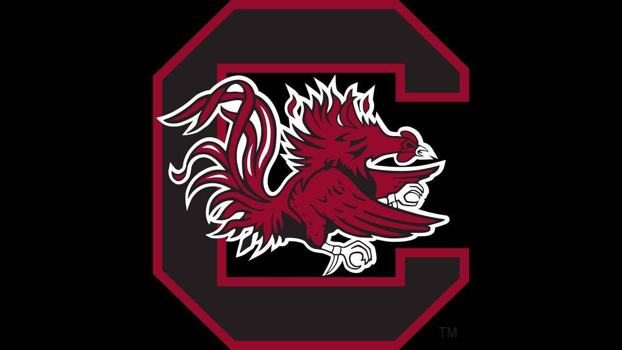 South Carolina Gamecocks, red rooster mascot, white outline, HD Desktop Wallpaper