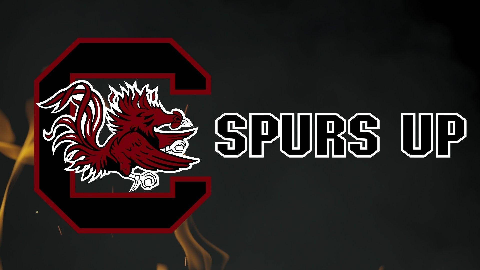 South Carolina Gamecocks, crimson, black, Full HD Desktop Wallpaper